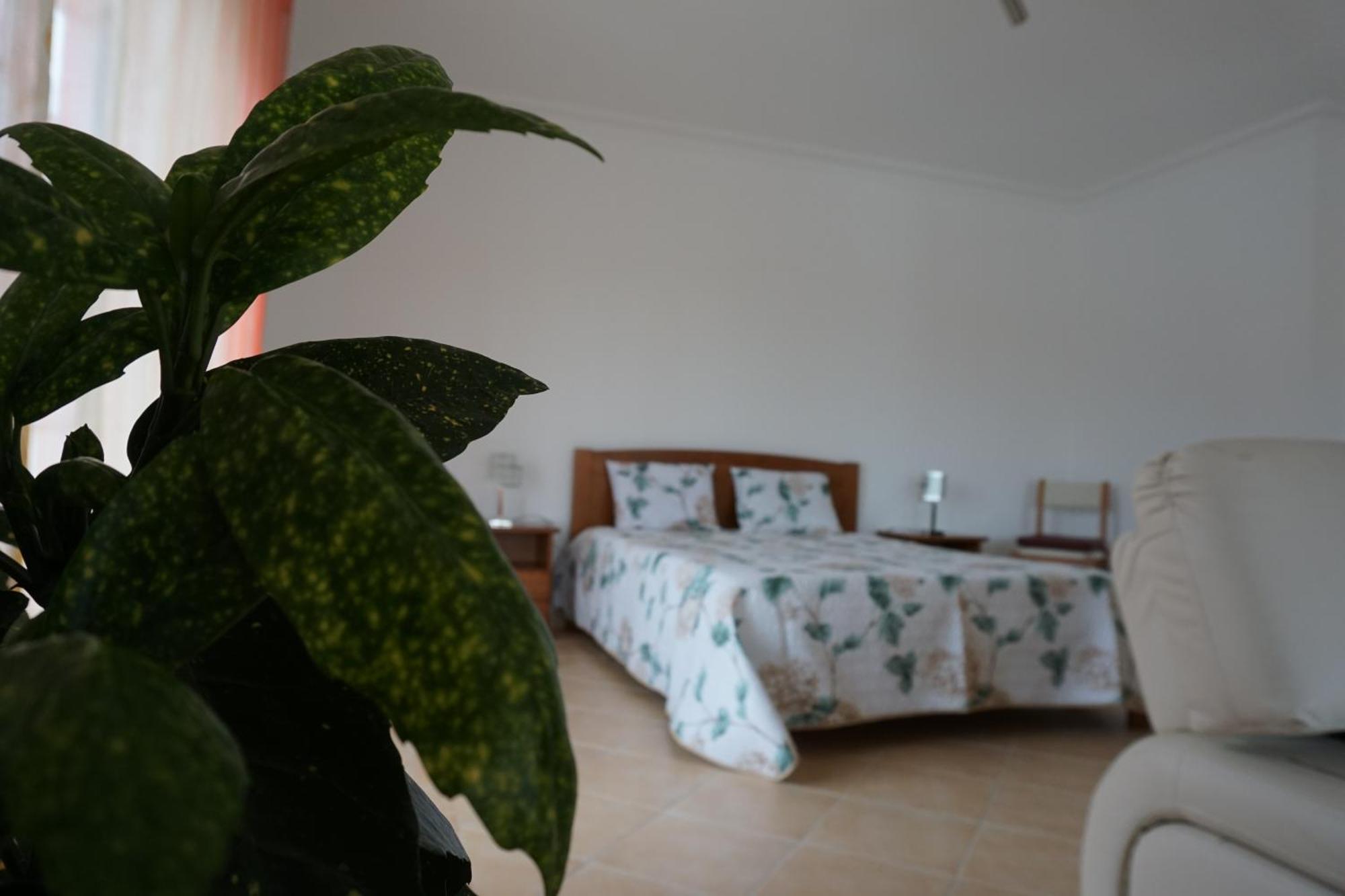 Vivenda Godinho Homestay *