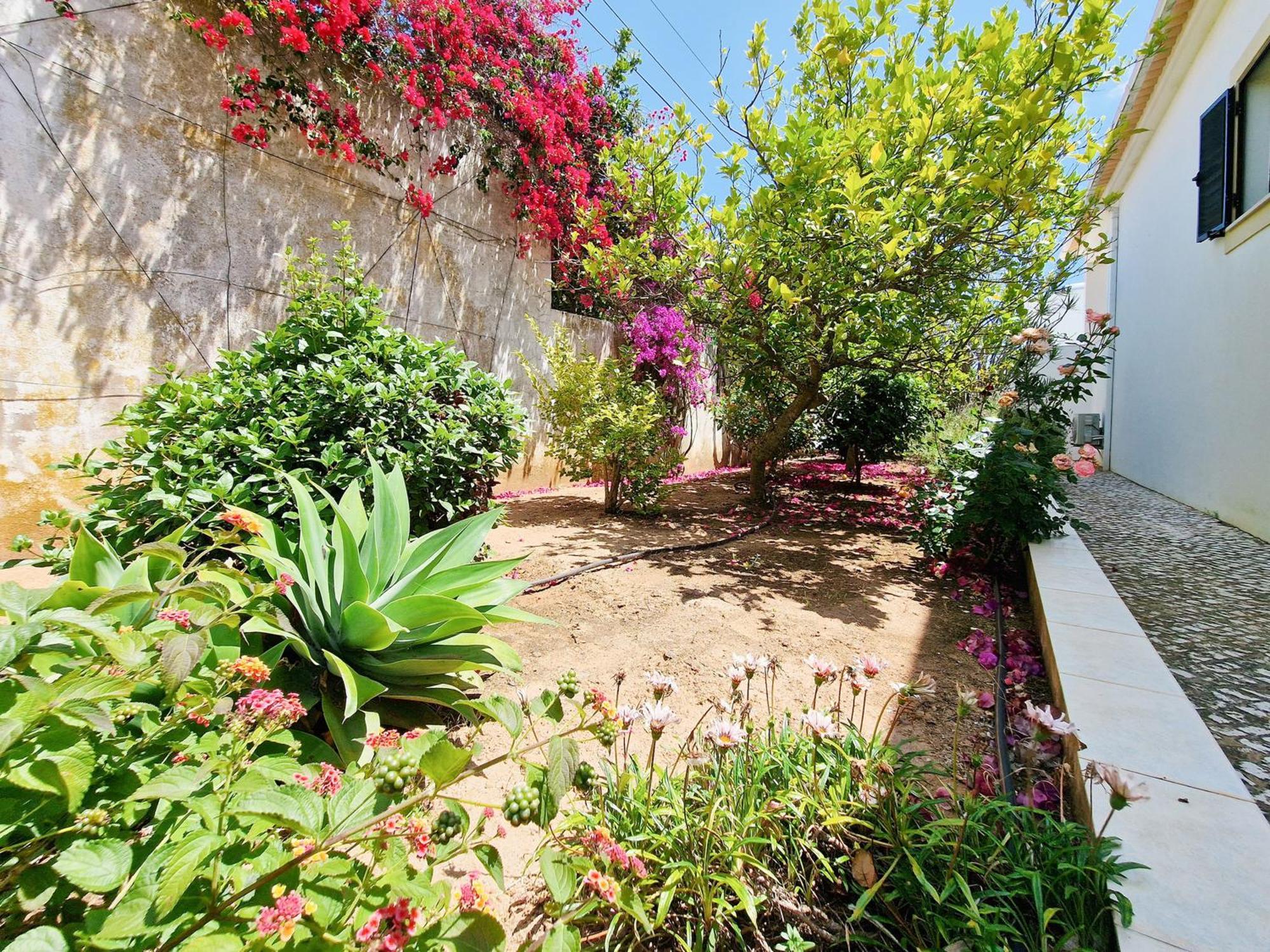 Villa Ninho Do Mocho *