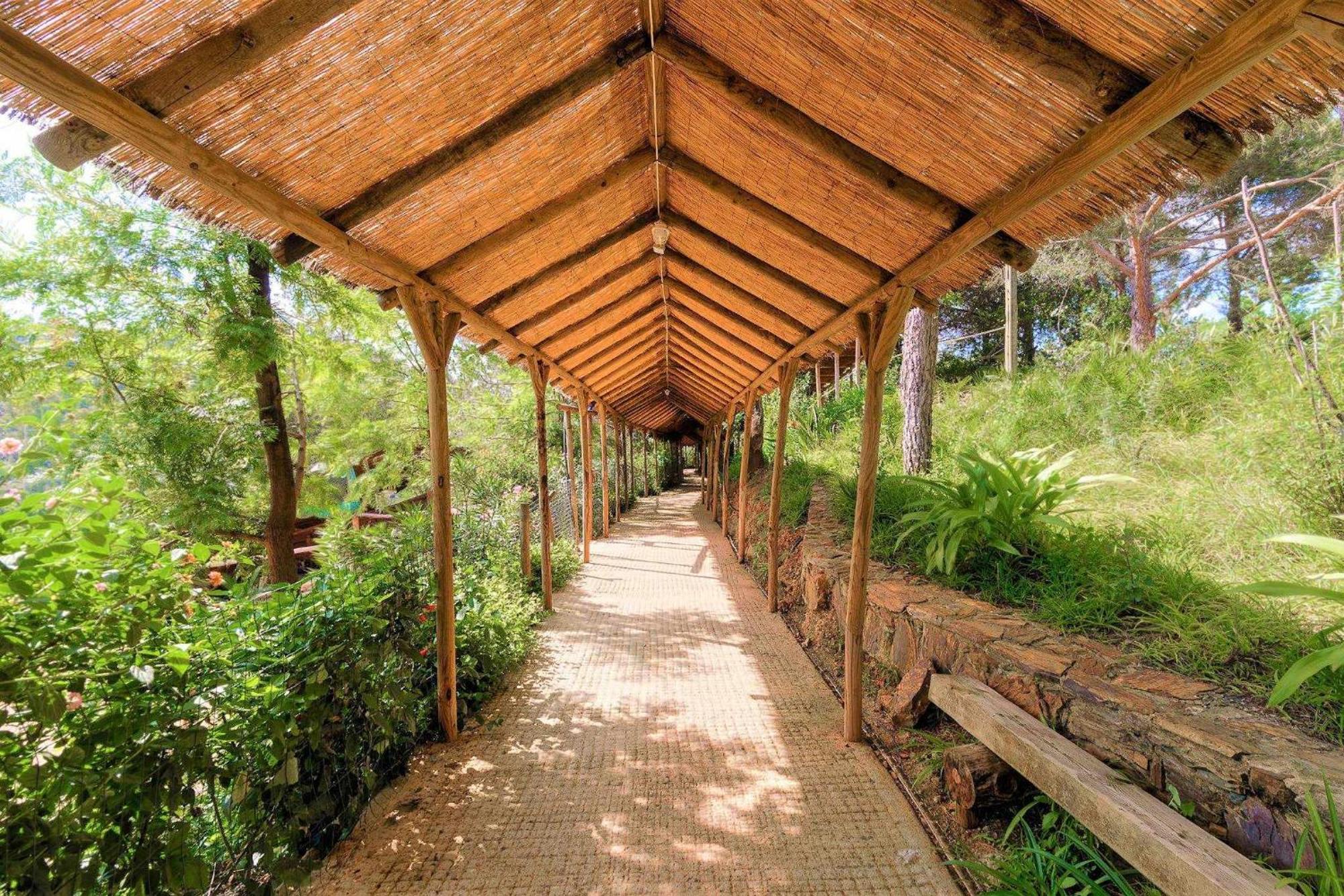 Parque Da Mina *