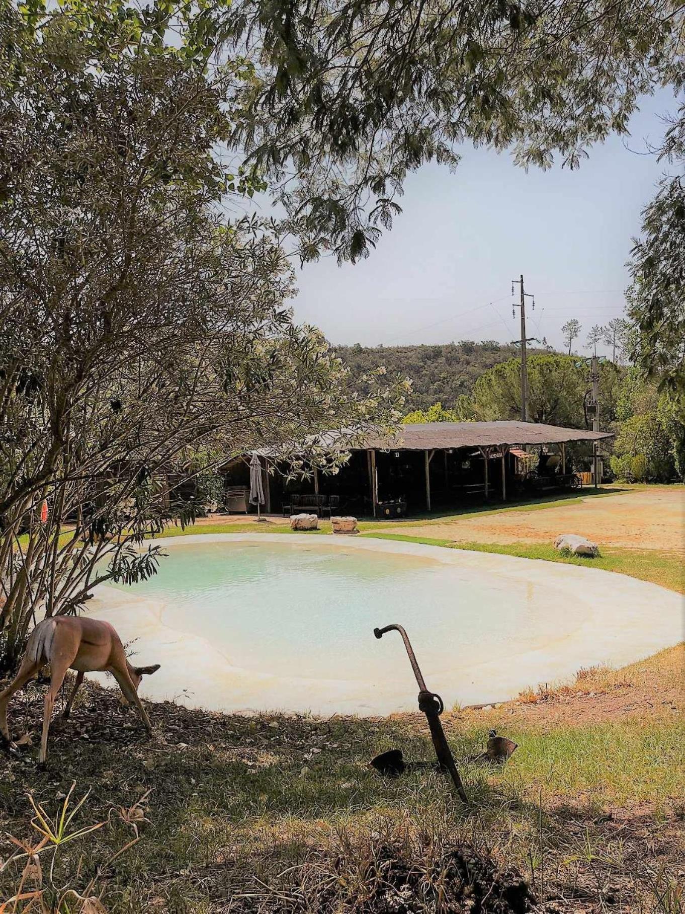 Parque Da Mina Luxury tent