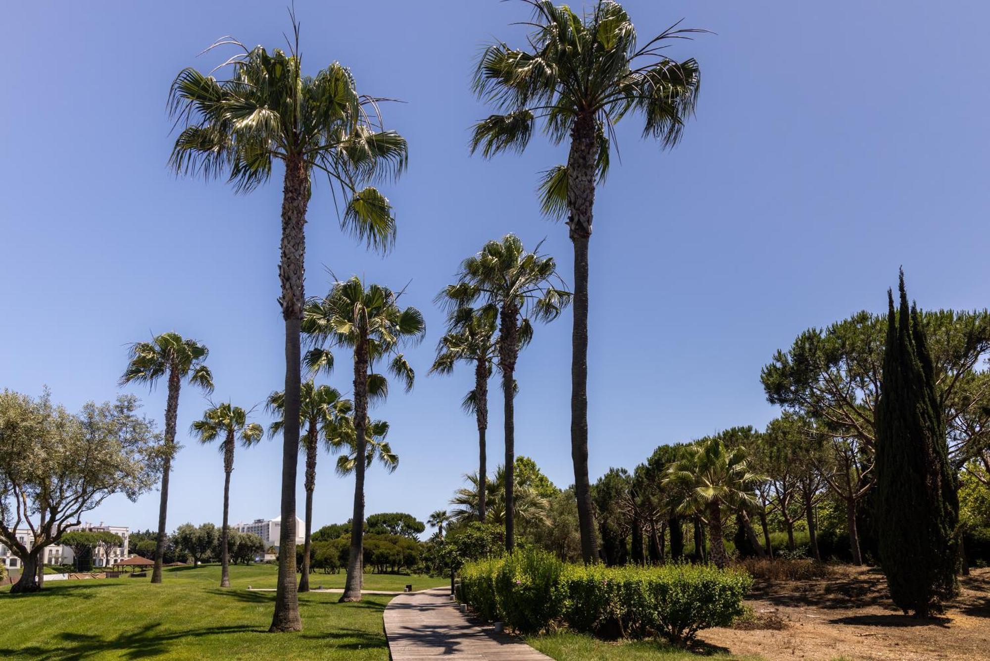 Hotel Domes Algarve, Autograph Collection