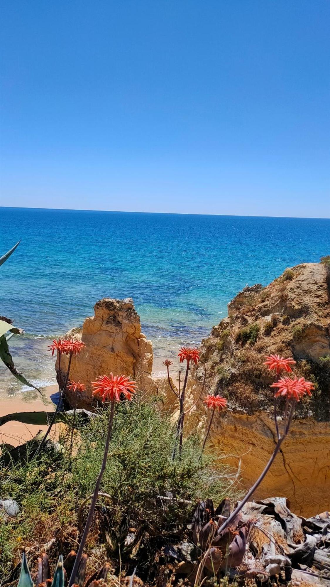 Cantinho Do Sol - Sea View, Quiet, Cozy And Relaxing Flat Apartment Armacao de Pera