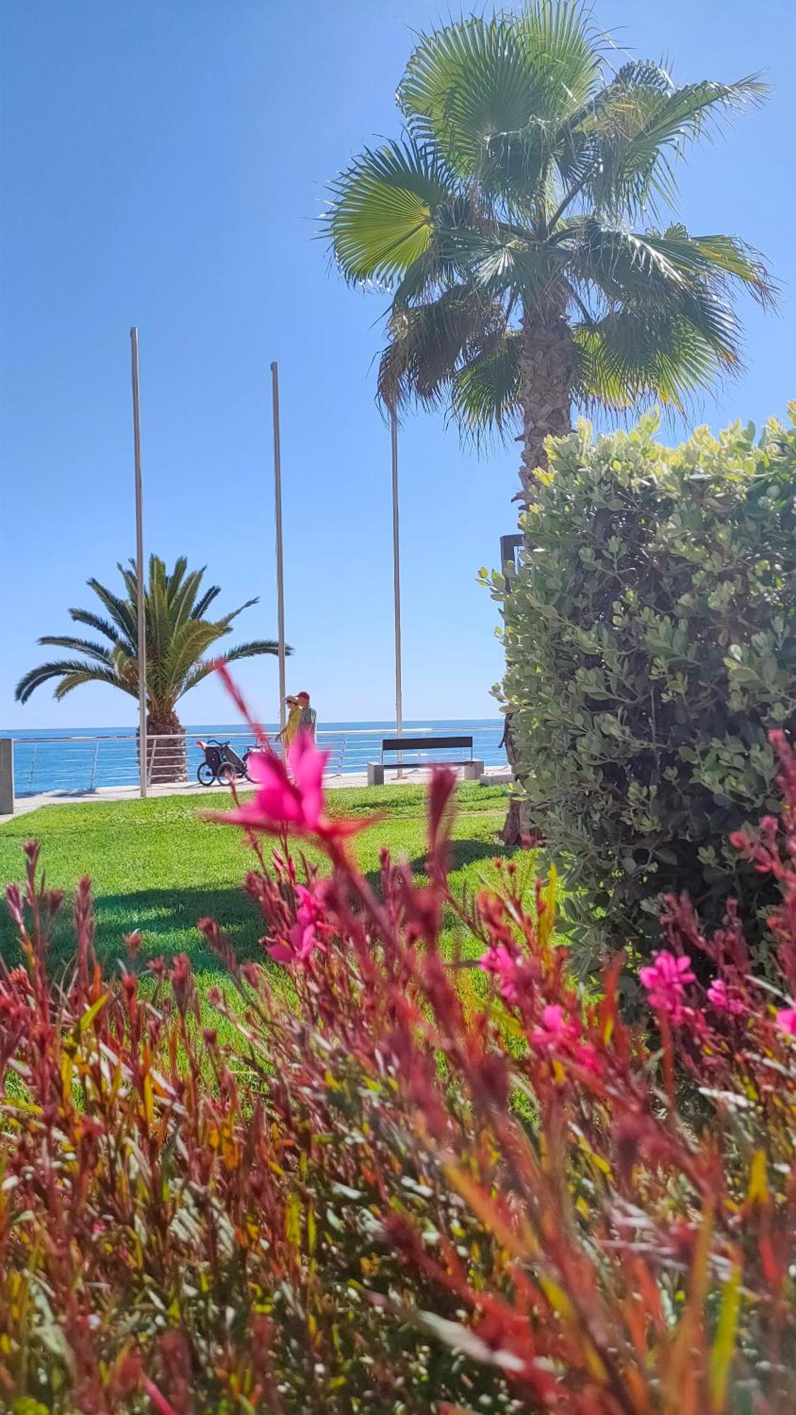 Apartment Cantinho Do Sol - Sea View, Quiet, Cozy And Relaxing Flat Armacao de Pera