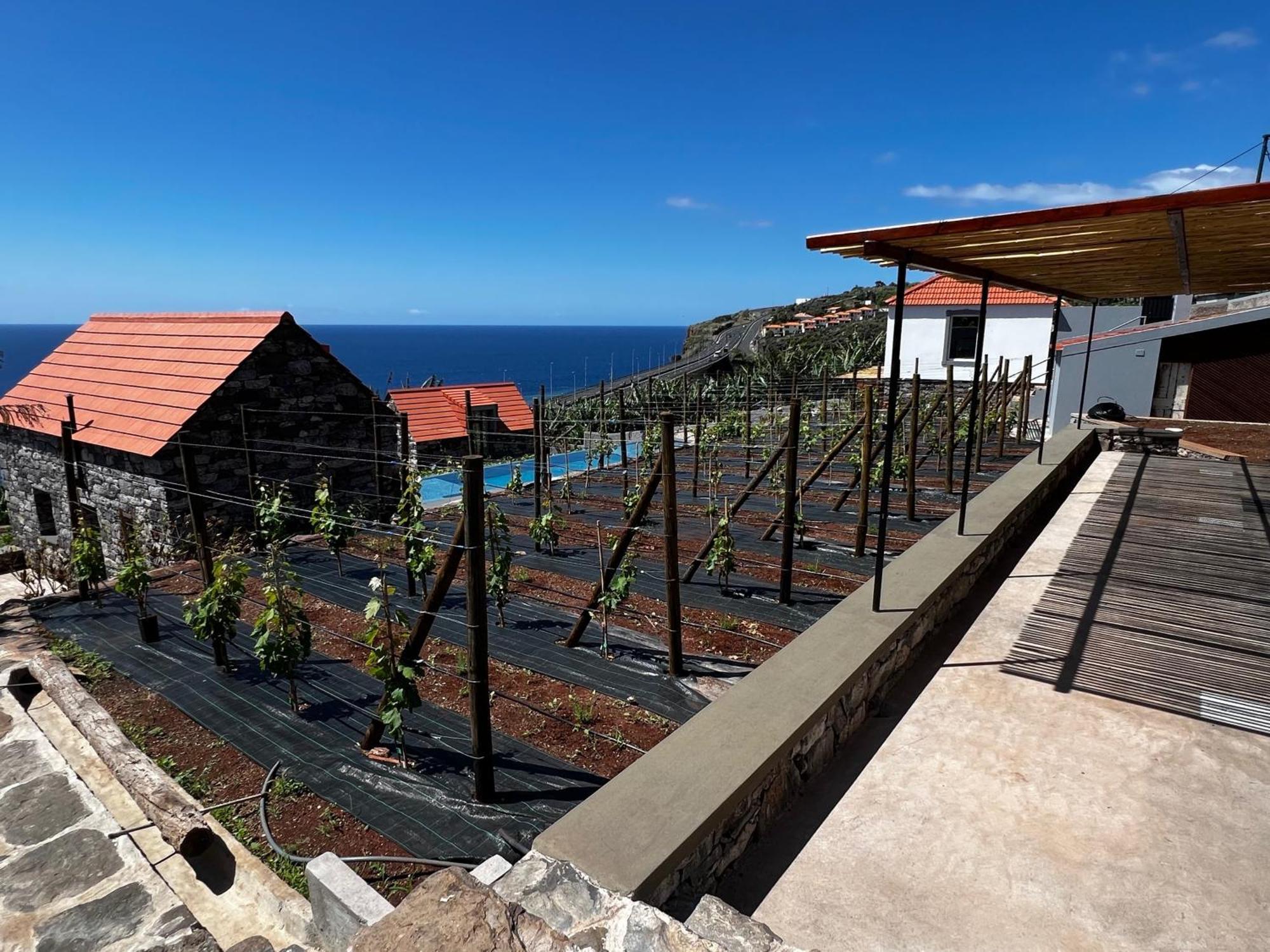 Casas Do Laranjo- & Infinity Pool Villa Gaula