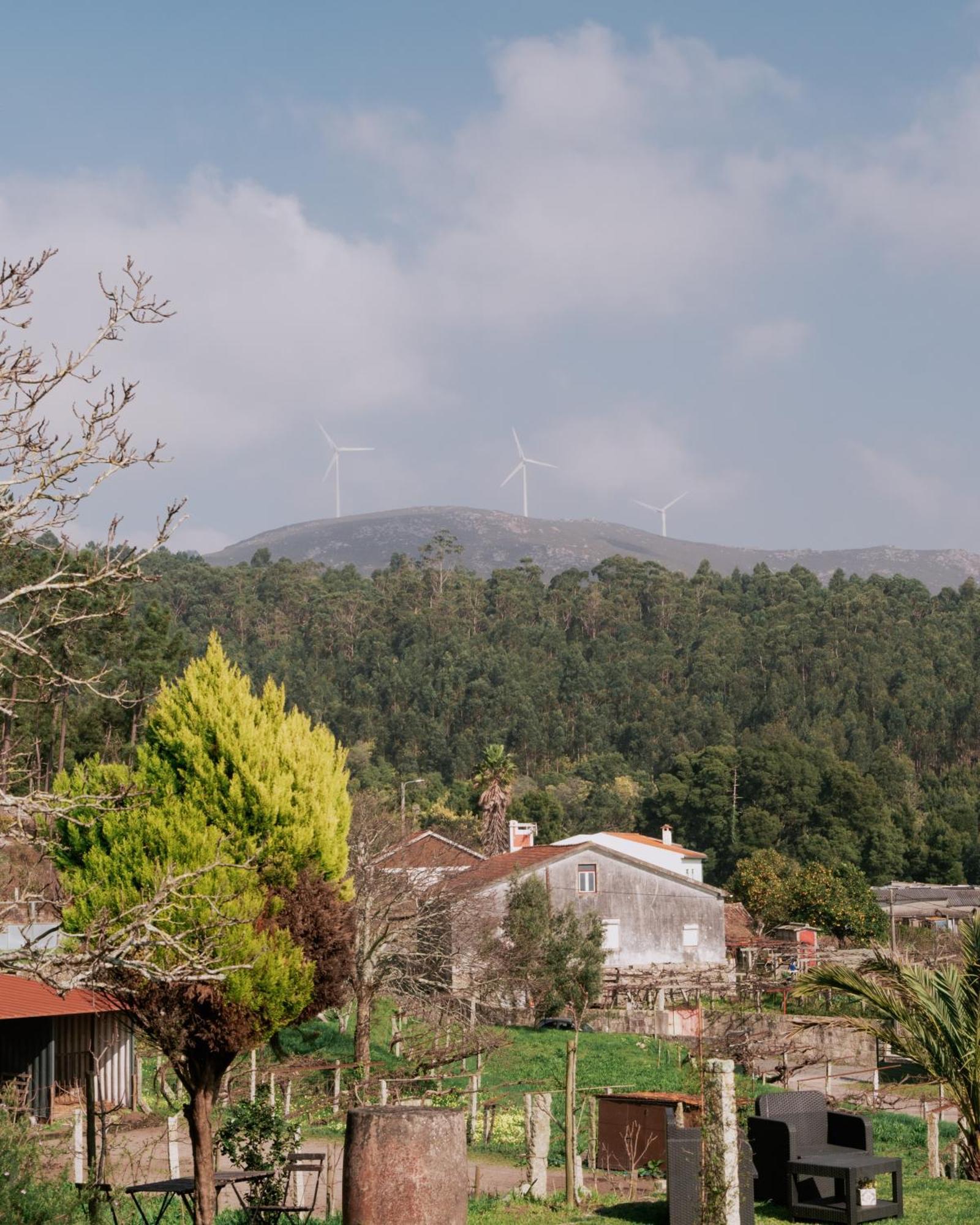 Quinta Da Quinhas