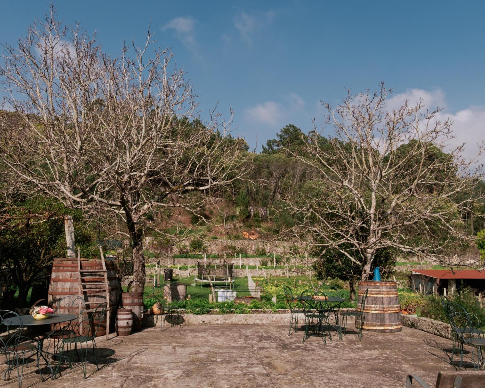 Quinta Da Quinhas Farm stay Vila Praia de Ancora