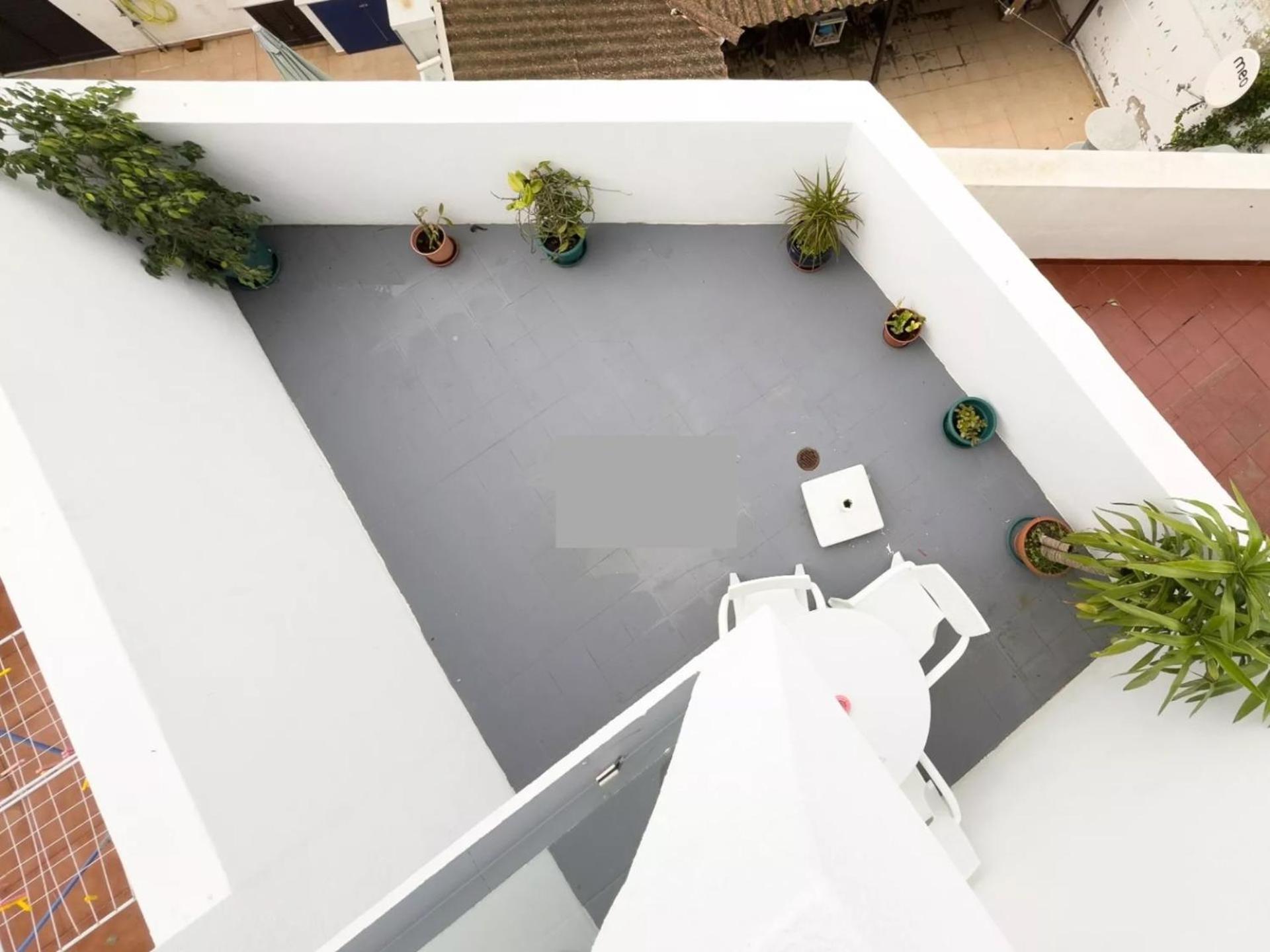 New! 50 Meters From The *