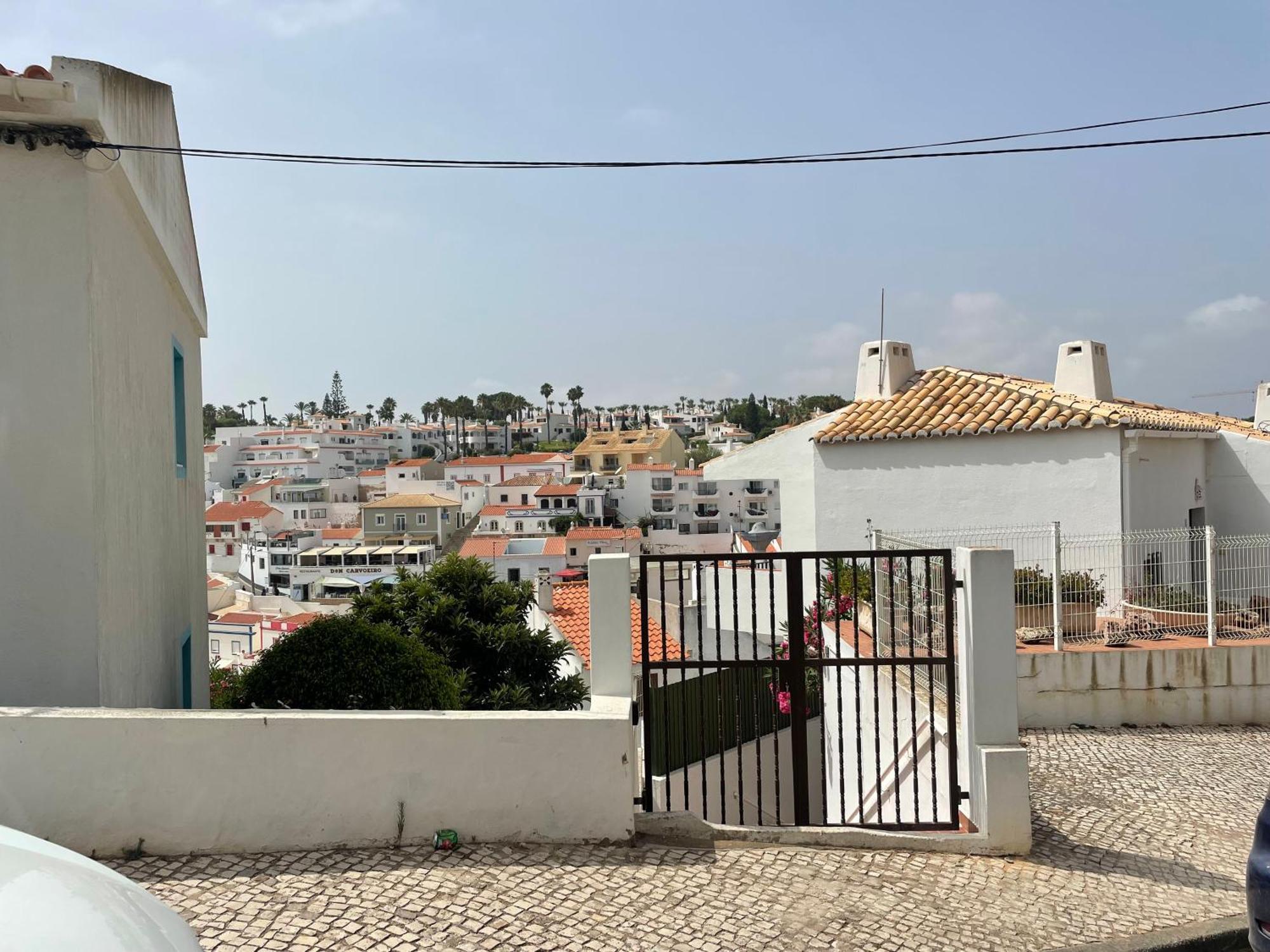New! 50 Meters From The