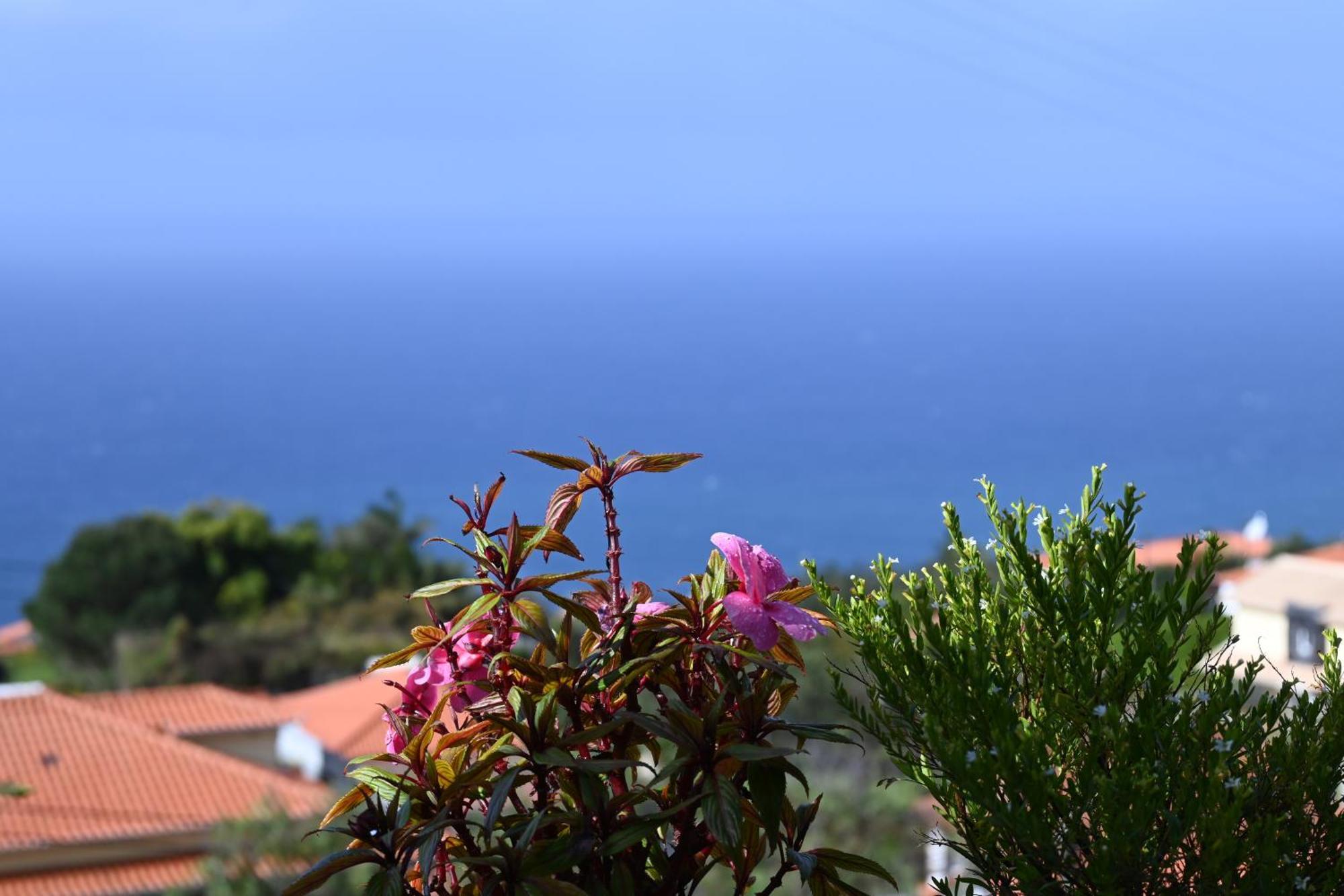 Vista Romantica Madeira Arco da Calheta (Madeira)