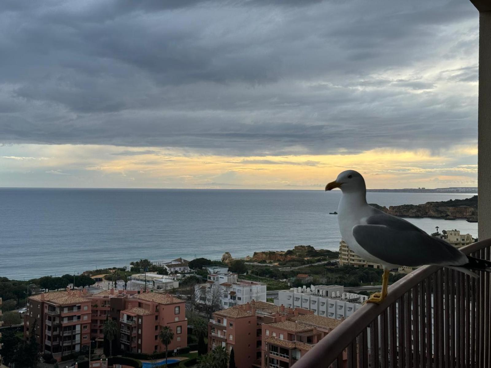 Apartment Sofiamarholidays - Casa Mar