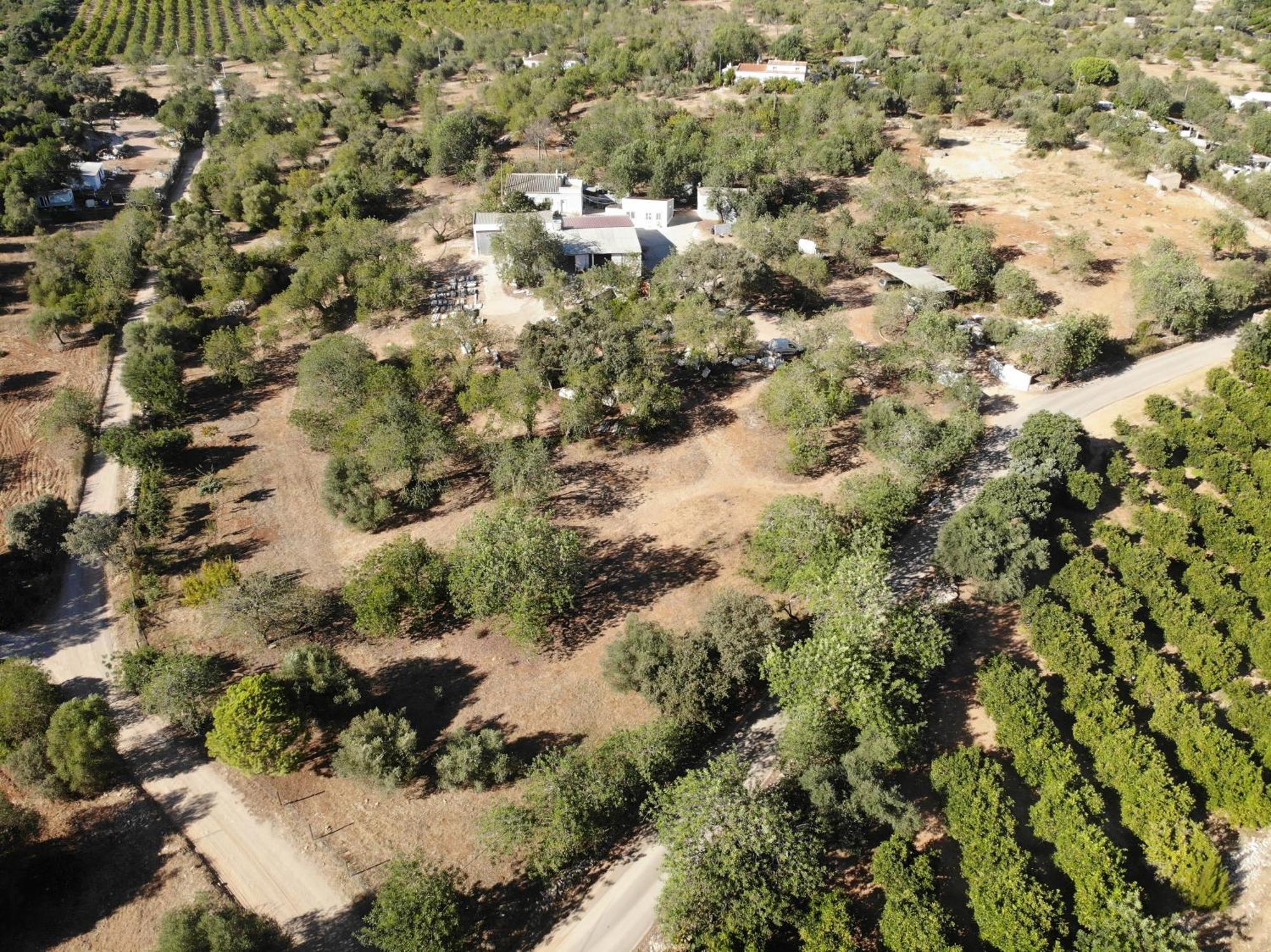 Country house Quinta Pedras -