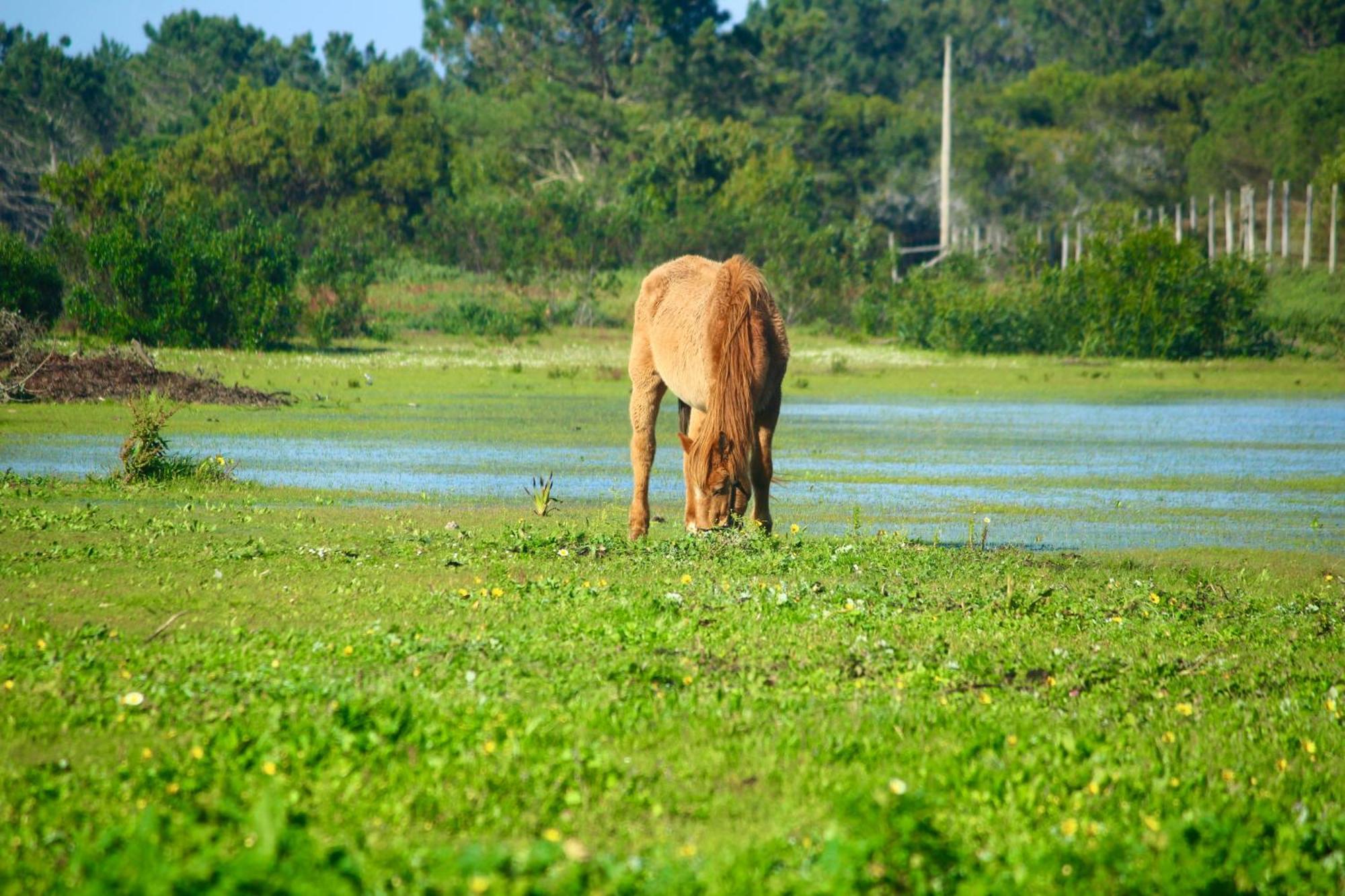 Herdade Monte Do Sol Country house Aljezur