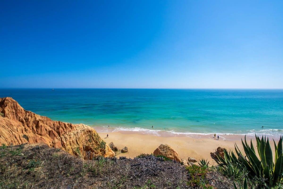 Grande - Superstar Luxury - Beachtop