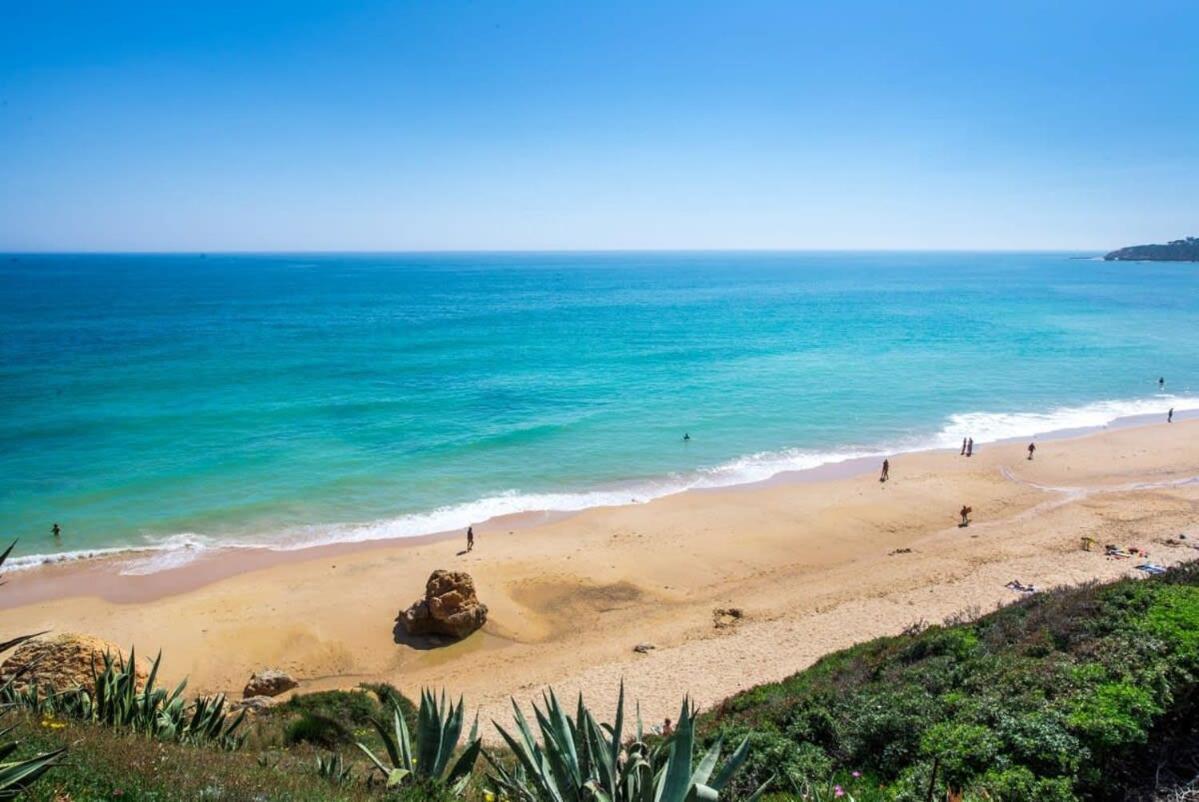 Grande - Superstar Luxury - Beachtop Holiday home *