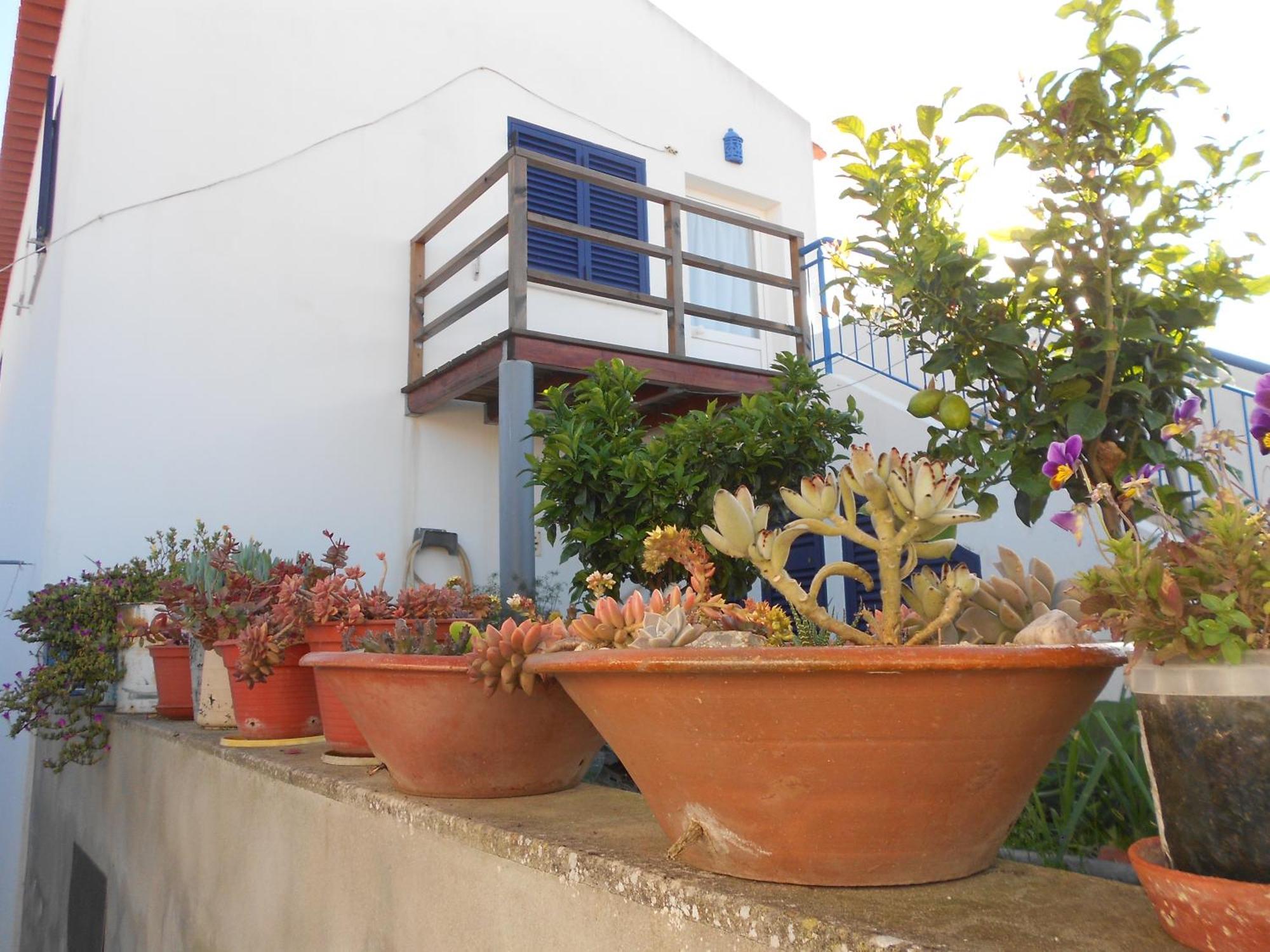 Moradias Ode Holiday home Odeceixe