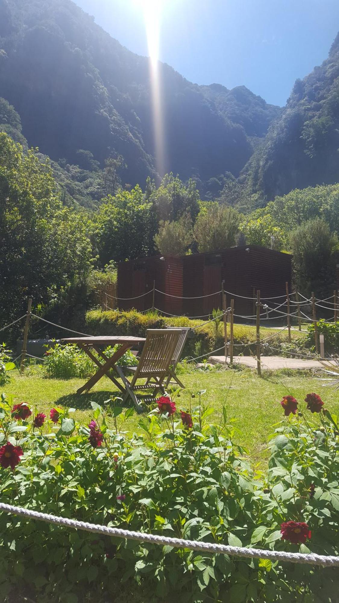Nature Retreat - Laurel Forest