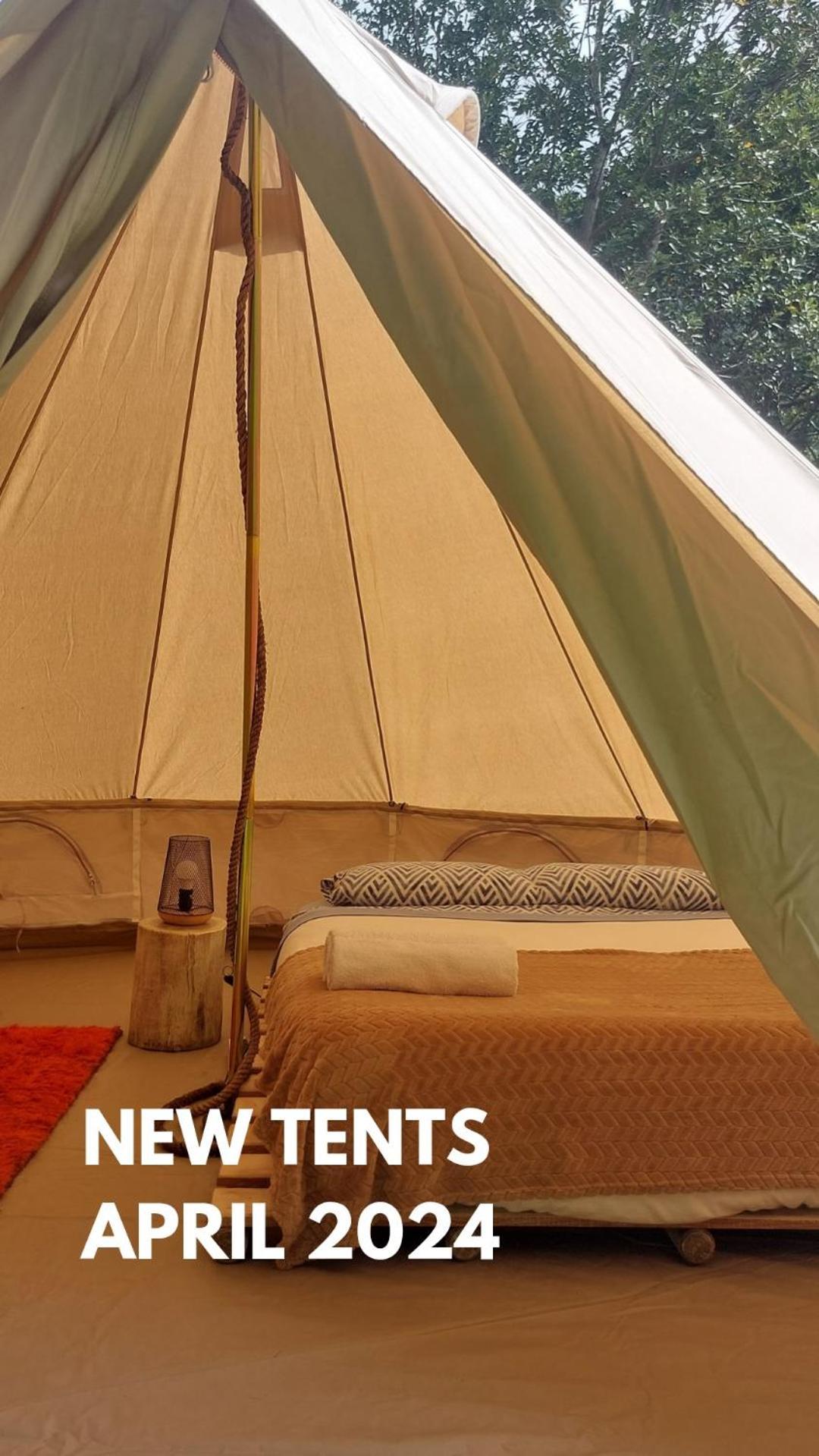 Nature Retreat - Laurel Forest Luxe tent *