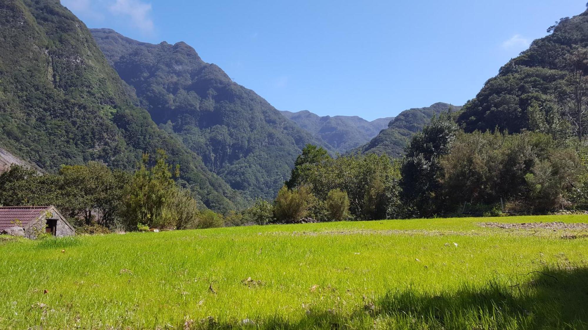 Nature Retreat - Laurel Forest Luxe tent Seixal (Madeira)