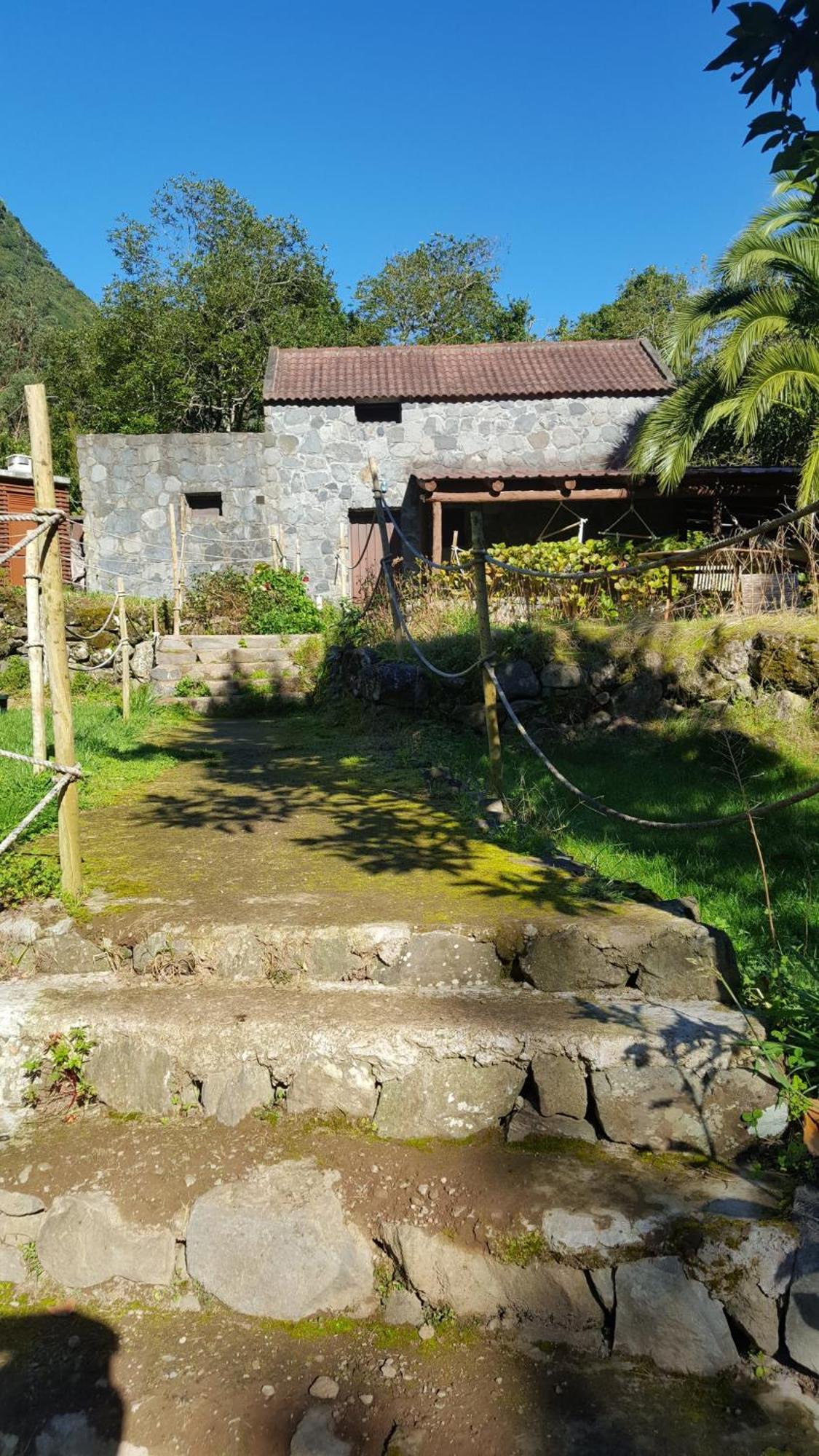 Nature Retreat - Laurel Forest Luxe tent Seixal (Madeira)