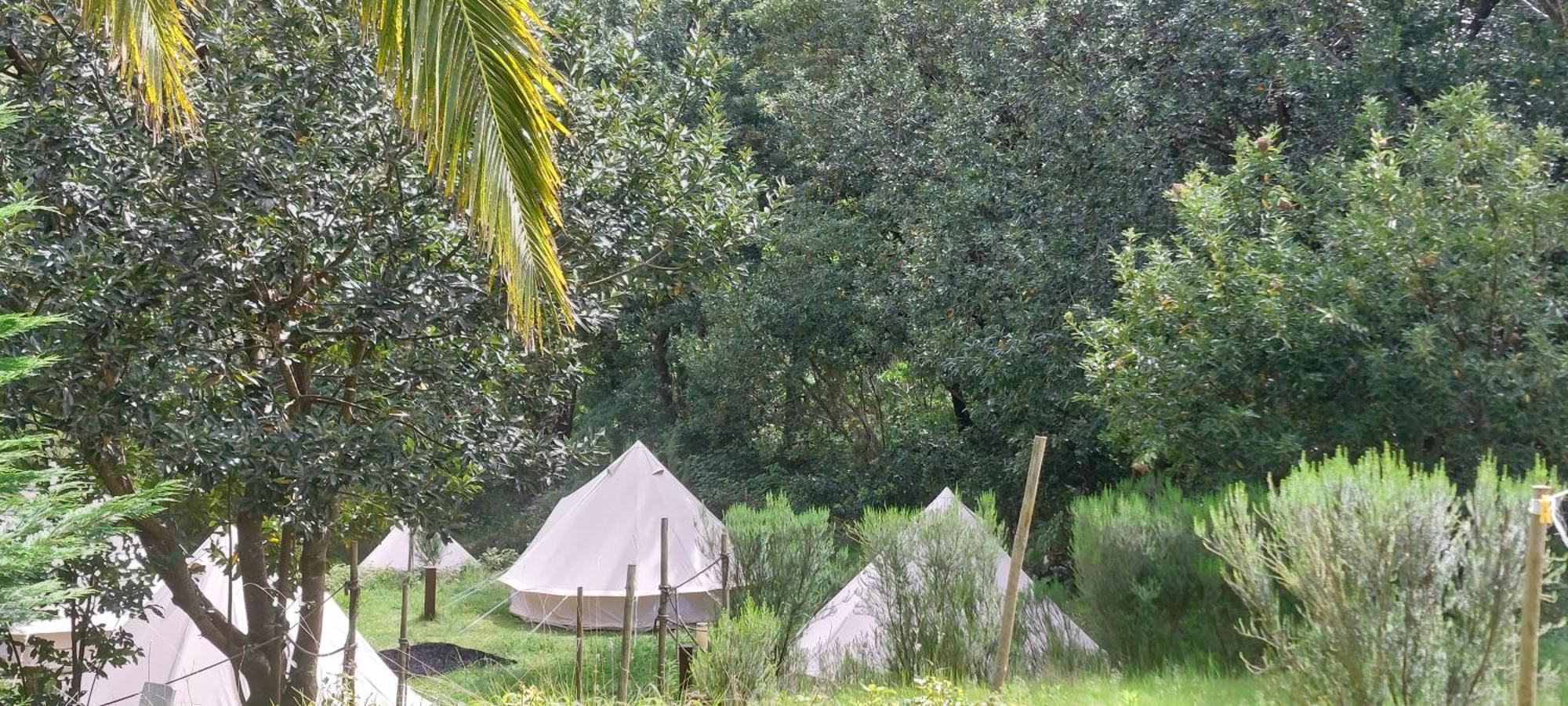 Luxe tent Nature Retreat - Laurel Forest *