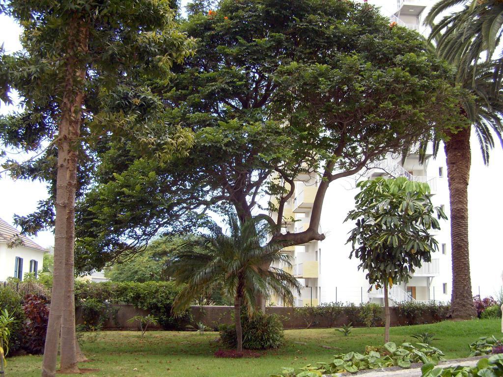 Apartamentos Casa Branca by Wanderlust Madeira *