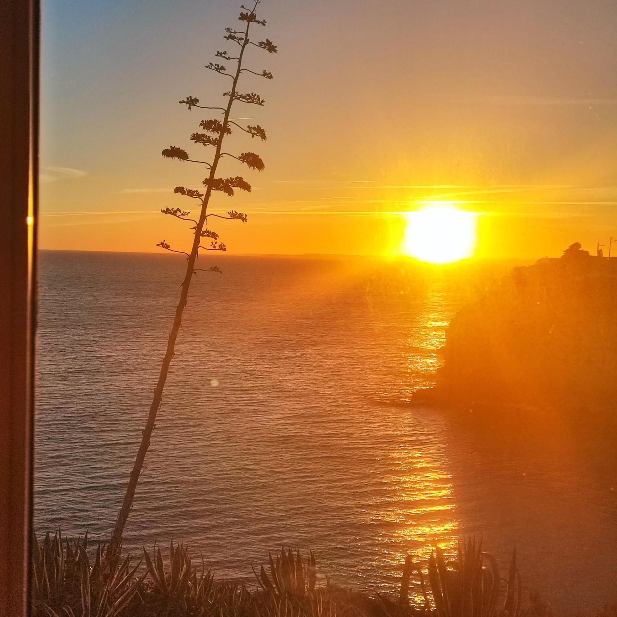 Castellohouse, The Sea View, In Front Of Carvoeiro * Carvoeiro (Lagoa)