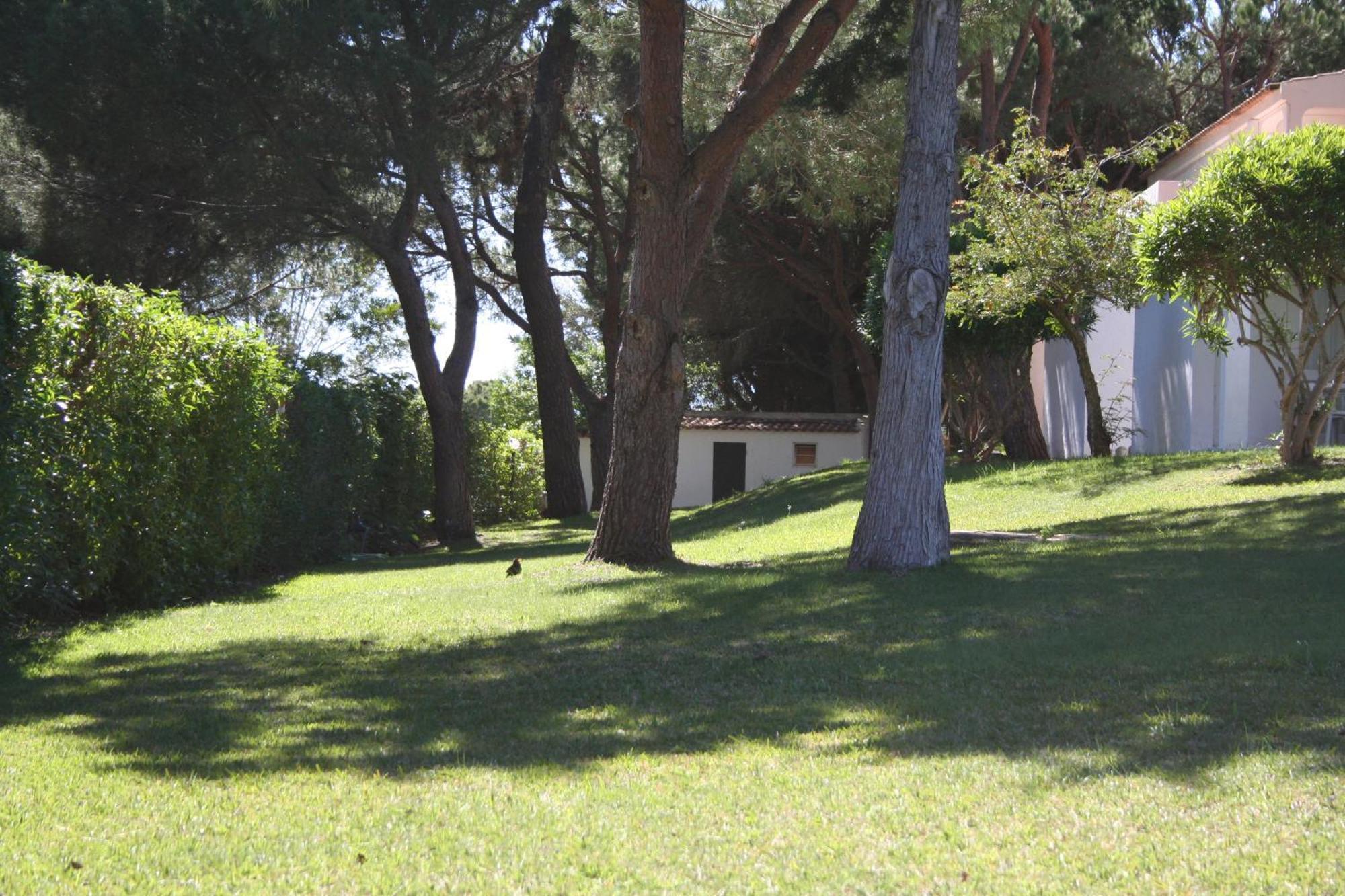 Apartamento Aldeia Da Falesia *