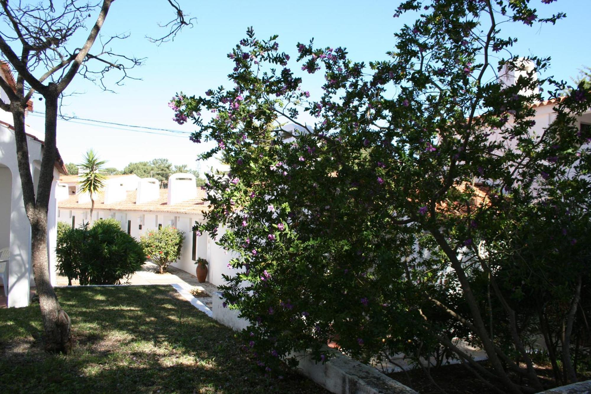 Apartamento Aldeia Da Falesia Albufeira