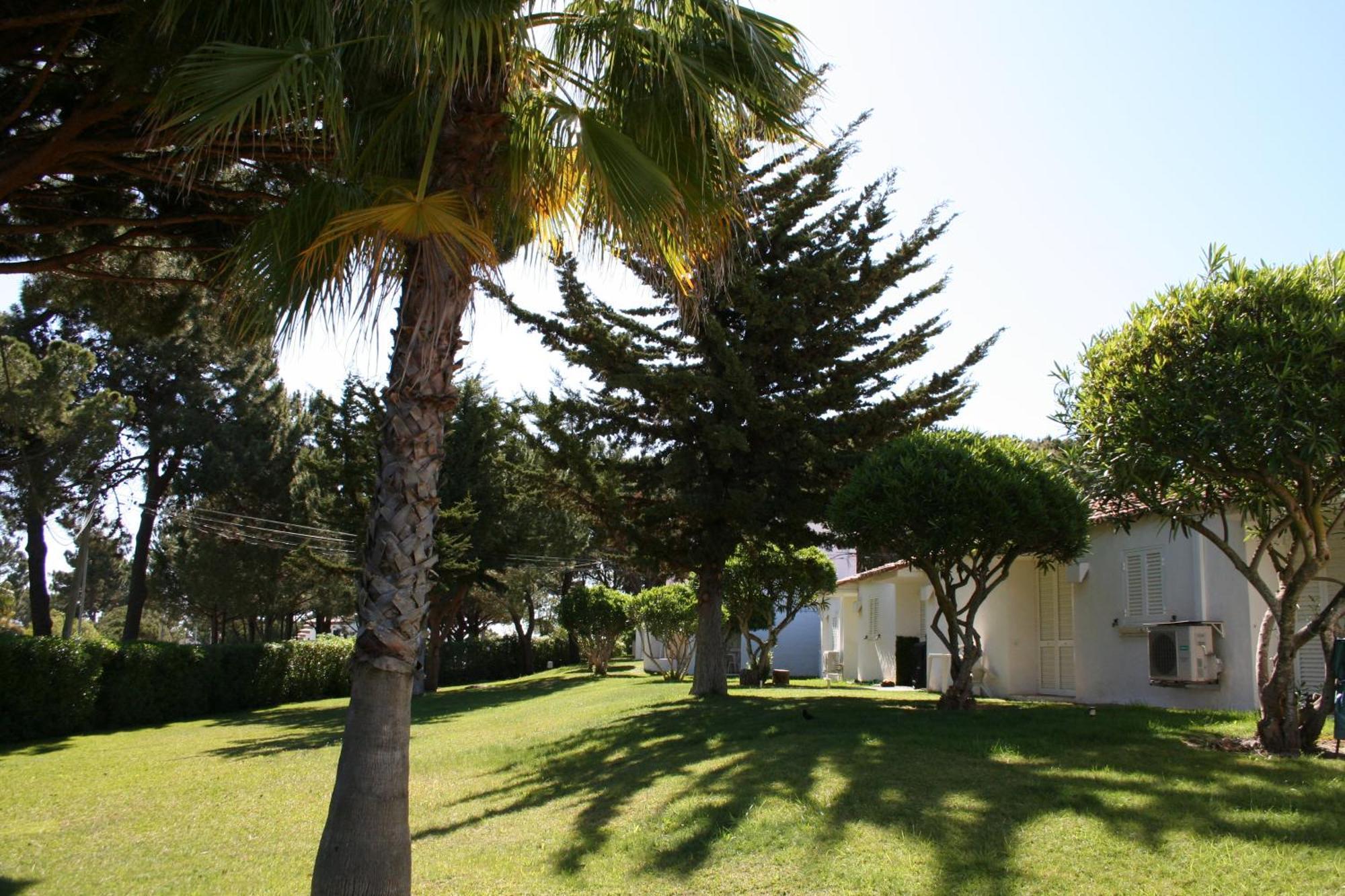 Aldeia Da Falesia Apartamento
