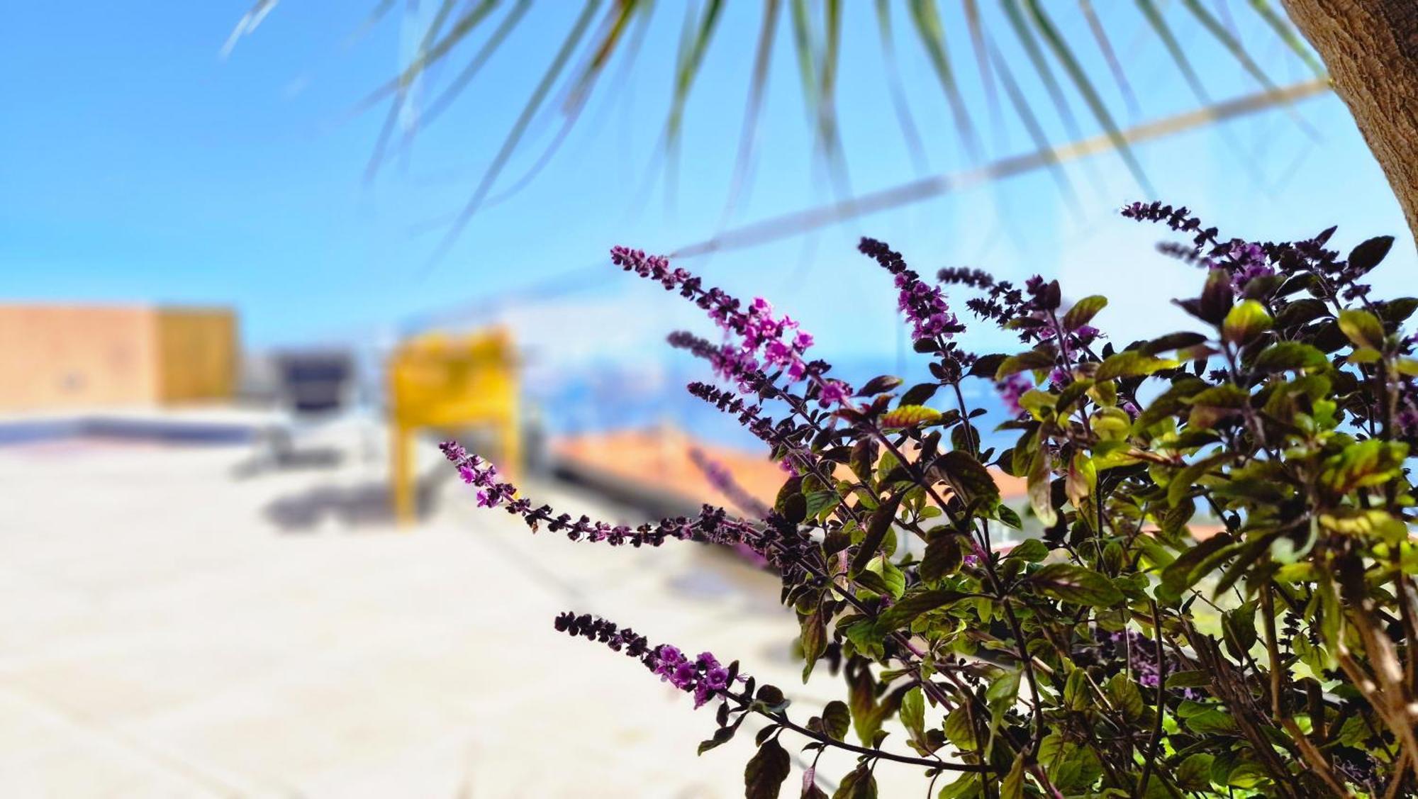 Eden Sun - A Modern Luxury With A Panoramic View
