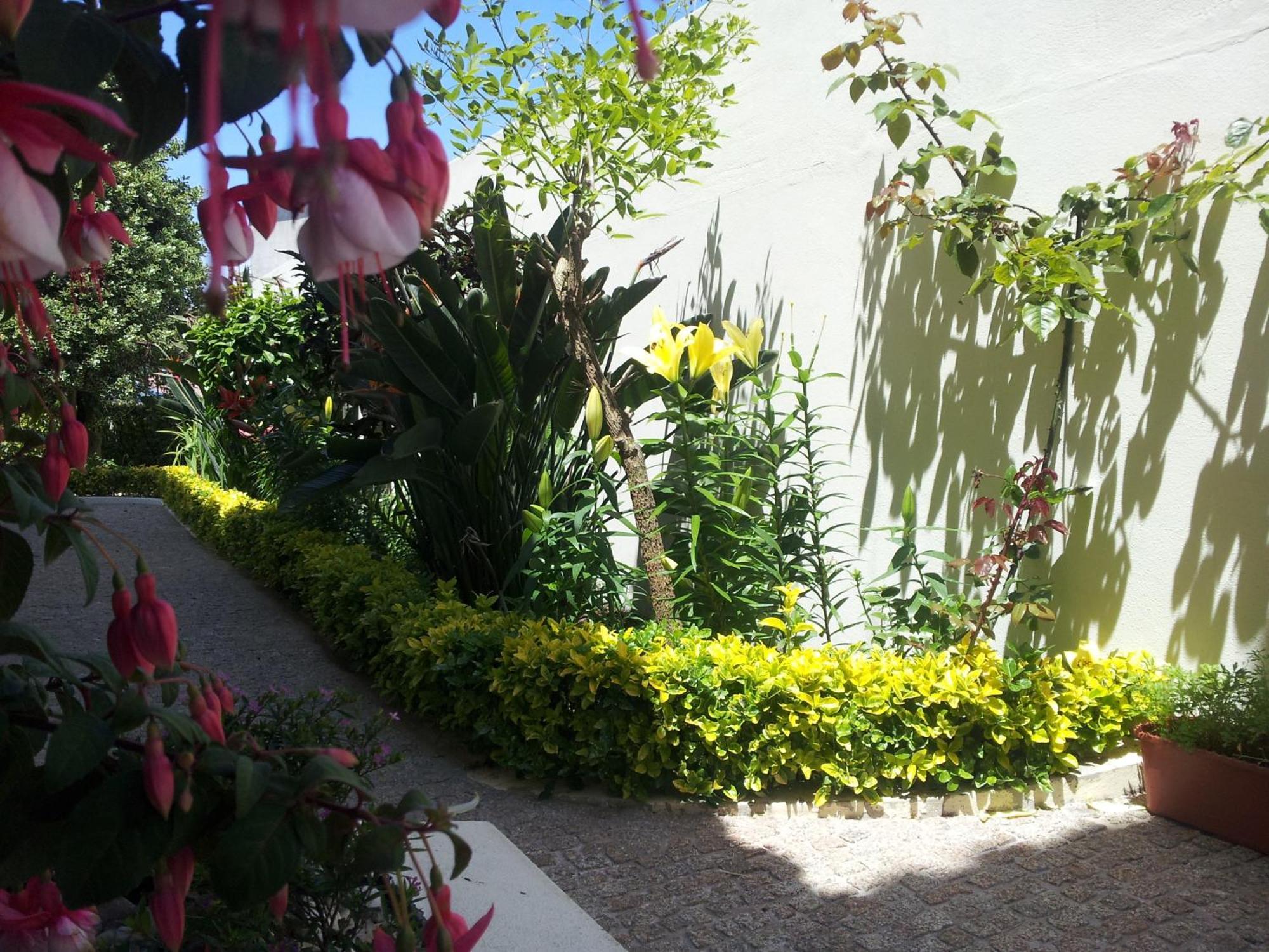 Guest house D'arcos