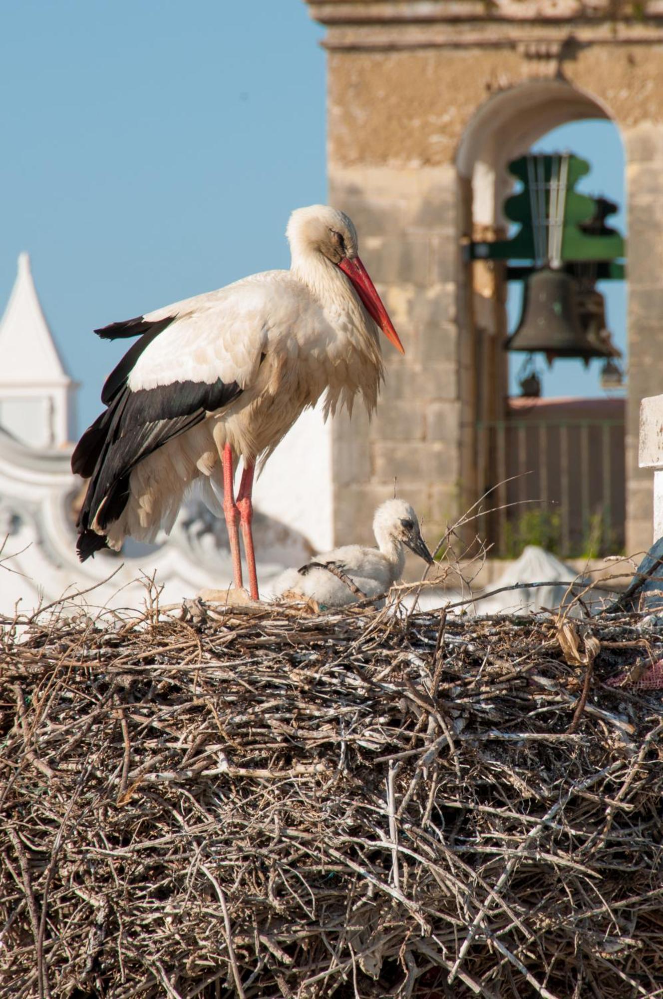 Hostel Stork Olhao
