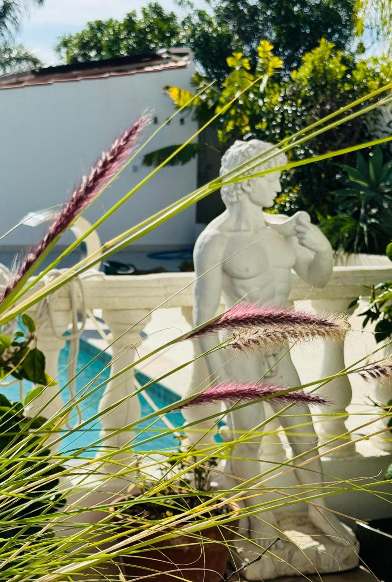 Bed & Breakfast Palm View Guesthouse, Adults Only Praia Da Luz