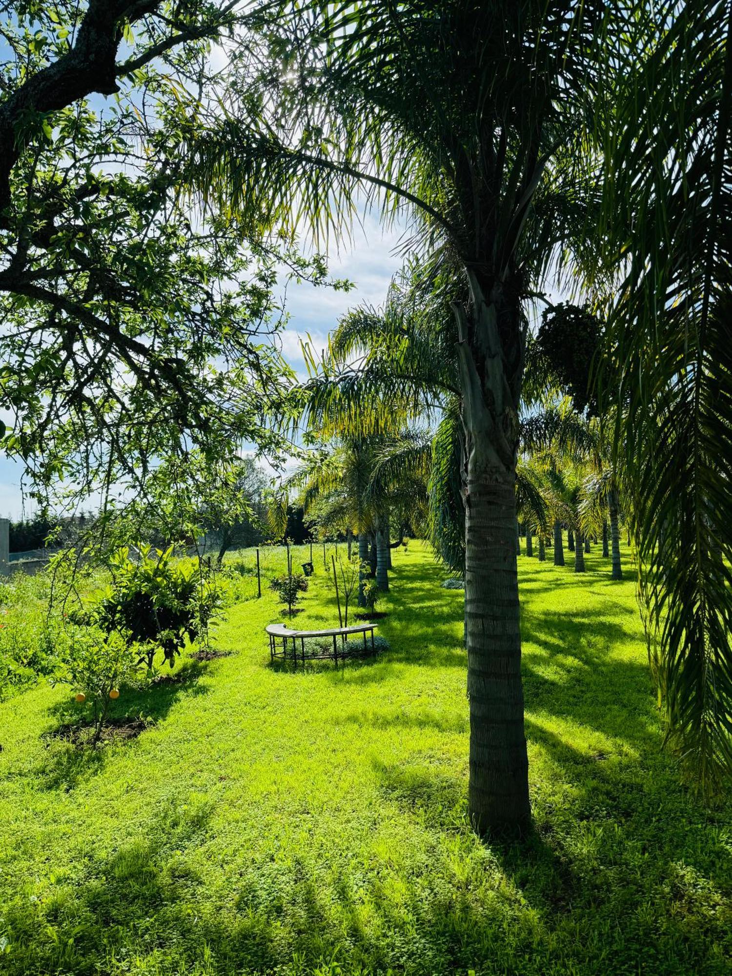 Bed & Breakfast Palm View Guesthouse, Adults Only *