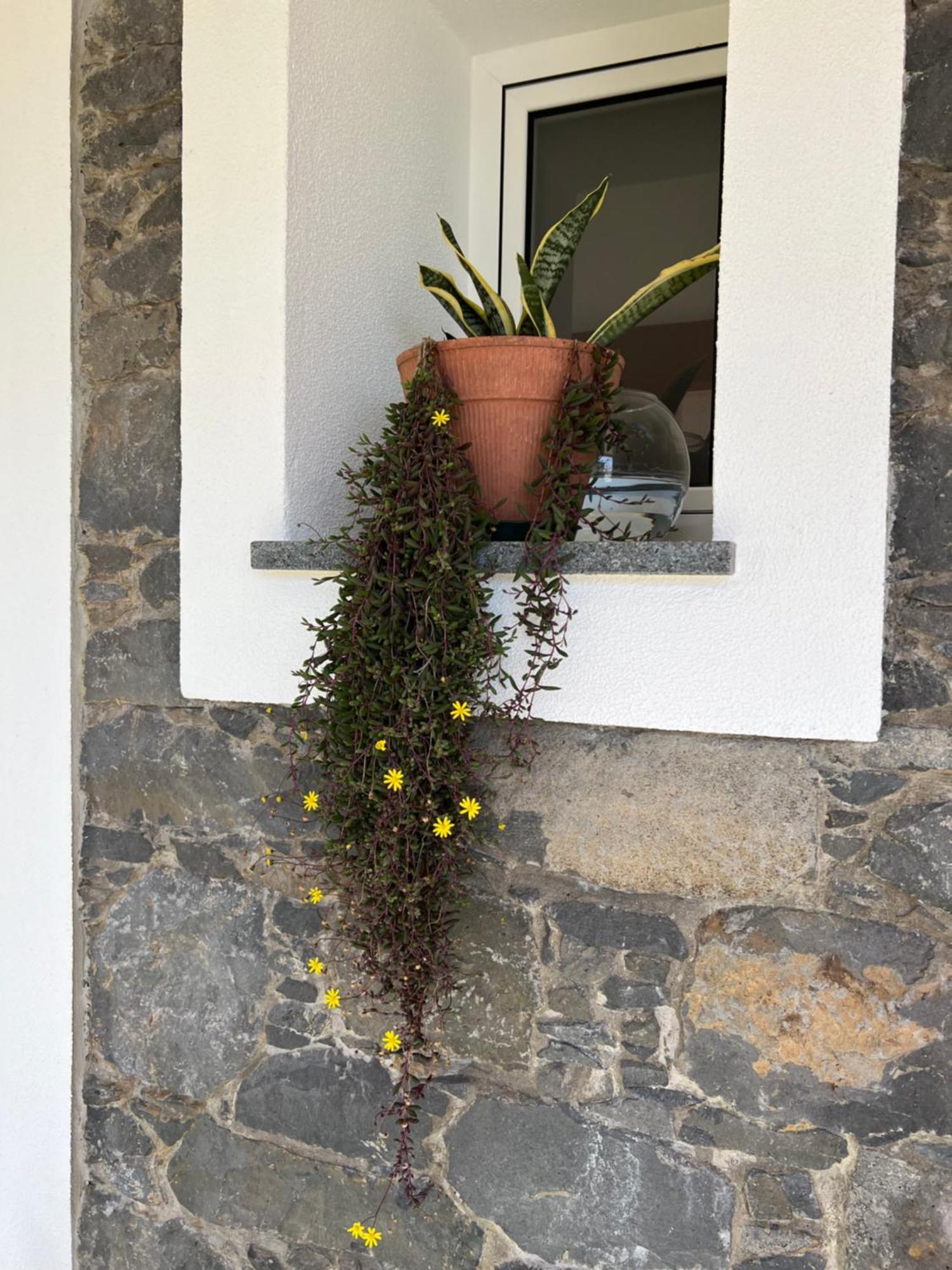 Vakantiehuis Mine House