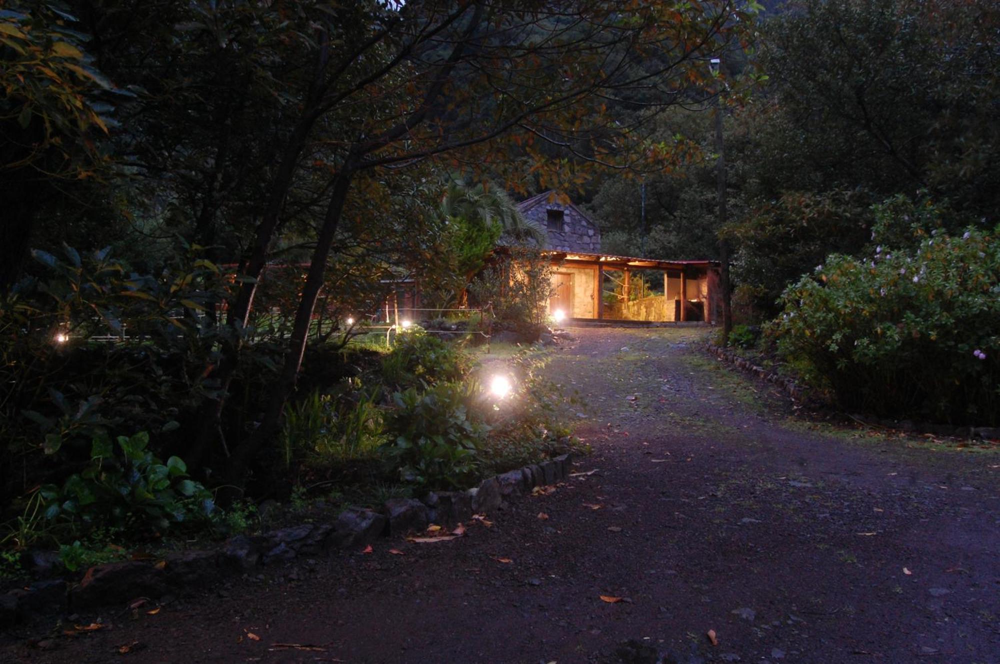 Nature Retreat - Laurel Forest Seixal (Madeira)
