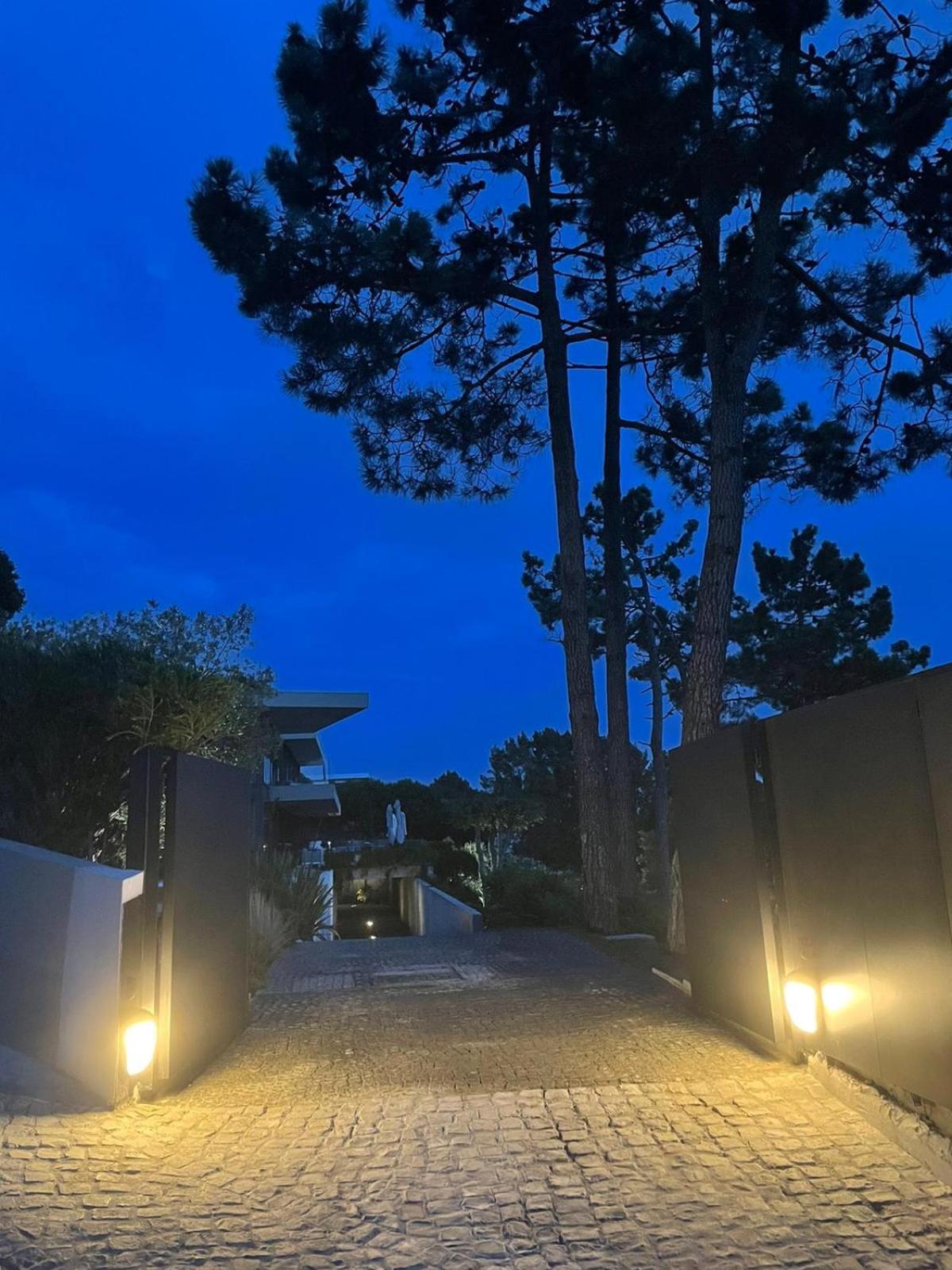 Guest house Paladina 4*