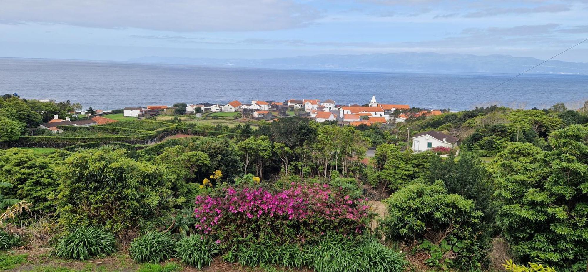 Holiday home Adega Melo Pereira - 2 Quartos Com Vista Mar *