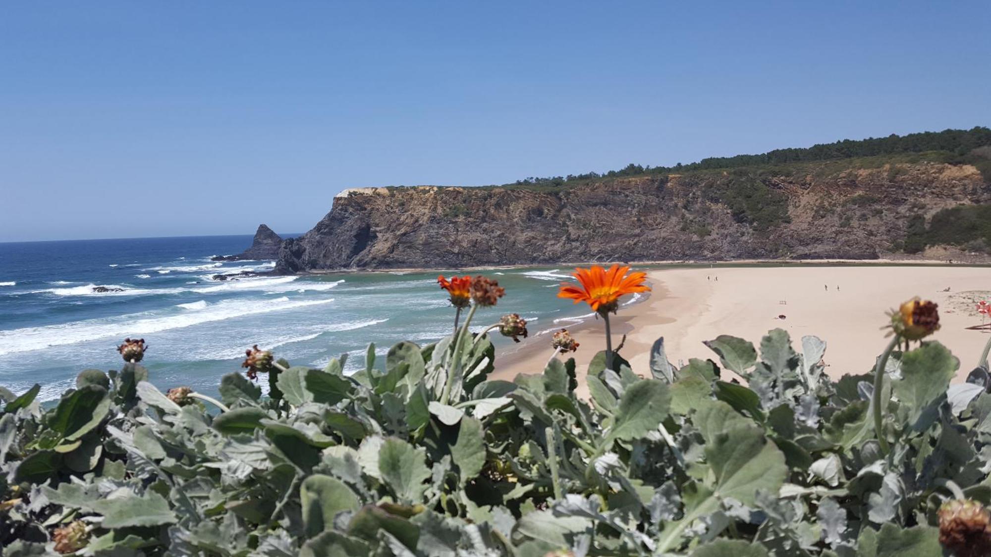 Hotel Vicentina