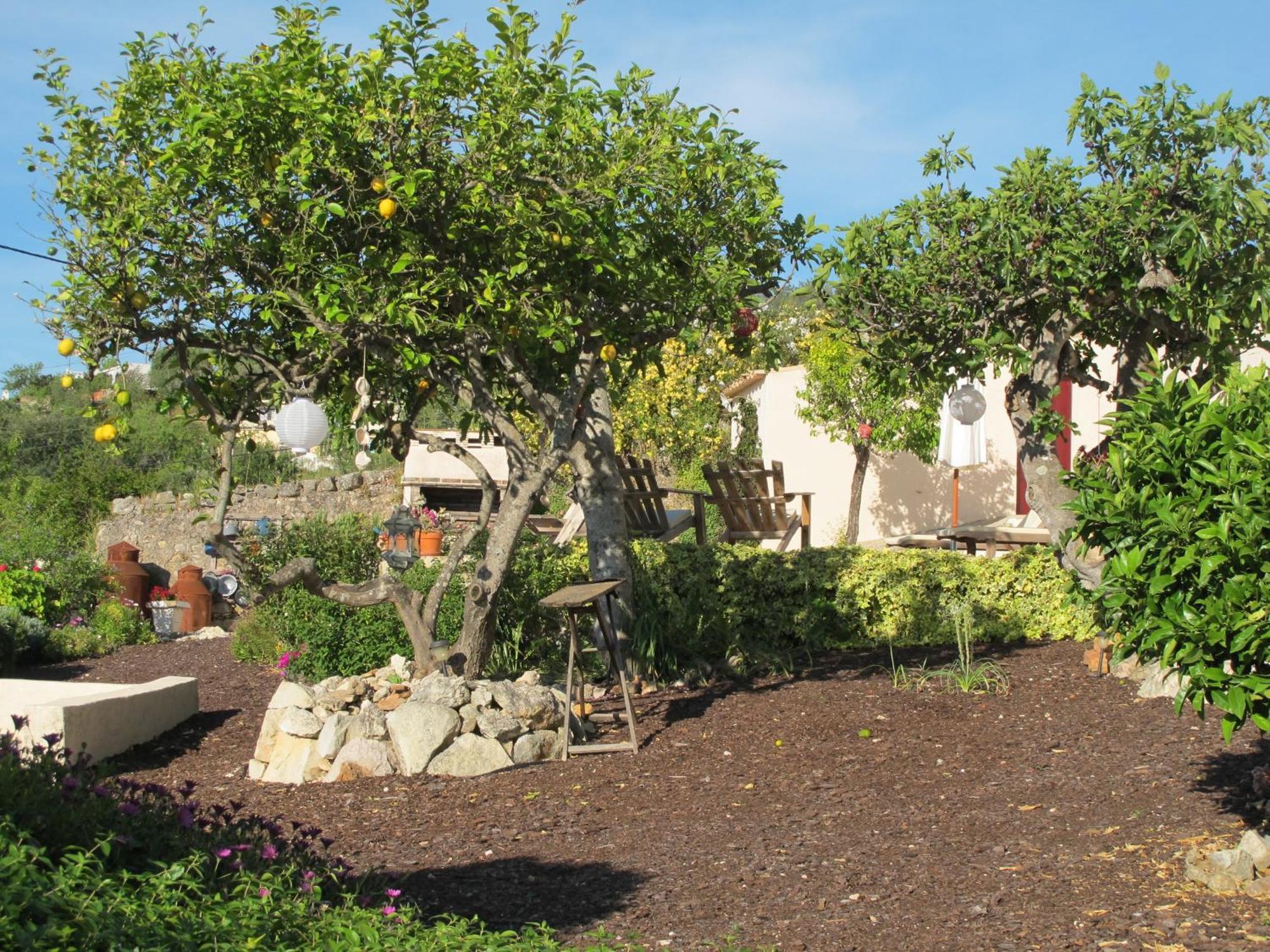 Candelaria Bed & Breakfast *