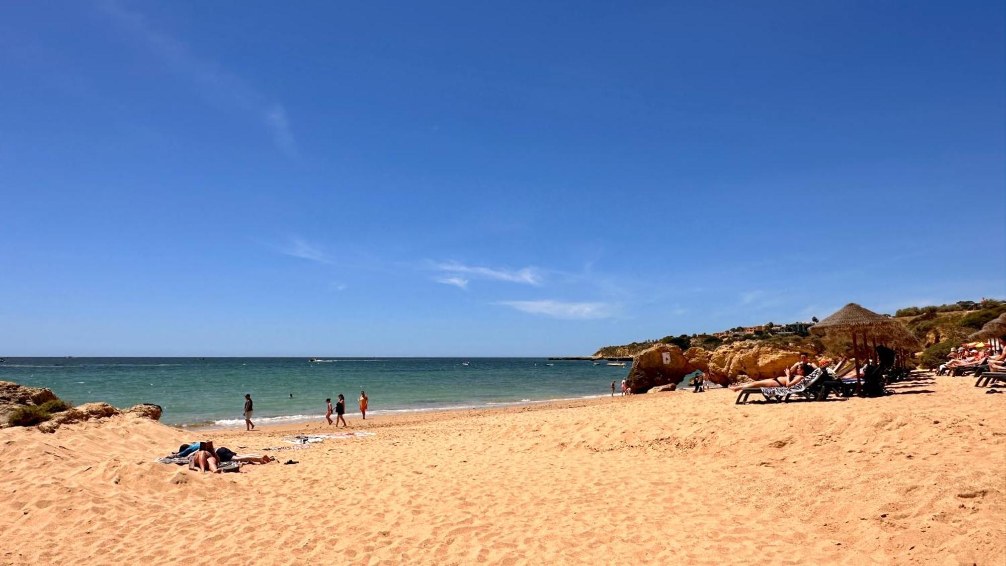 Bicos J Cip Albufeira