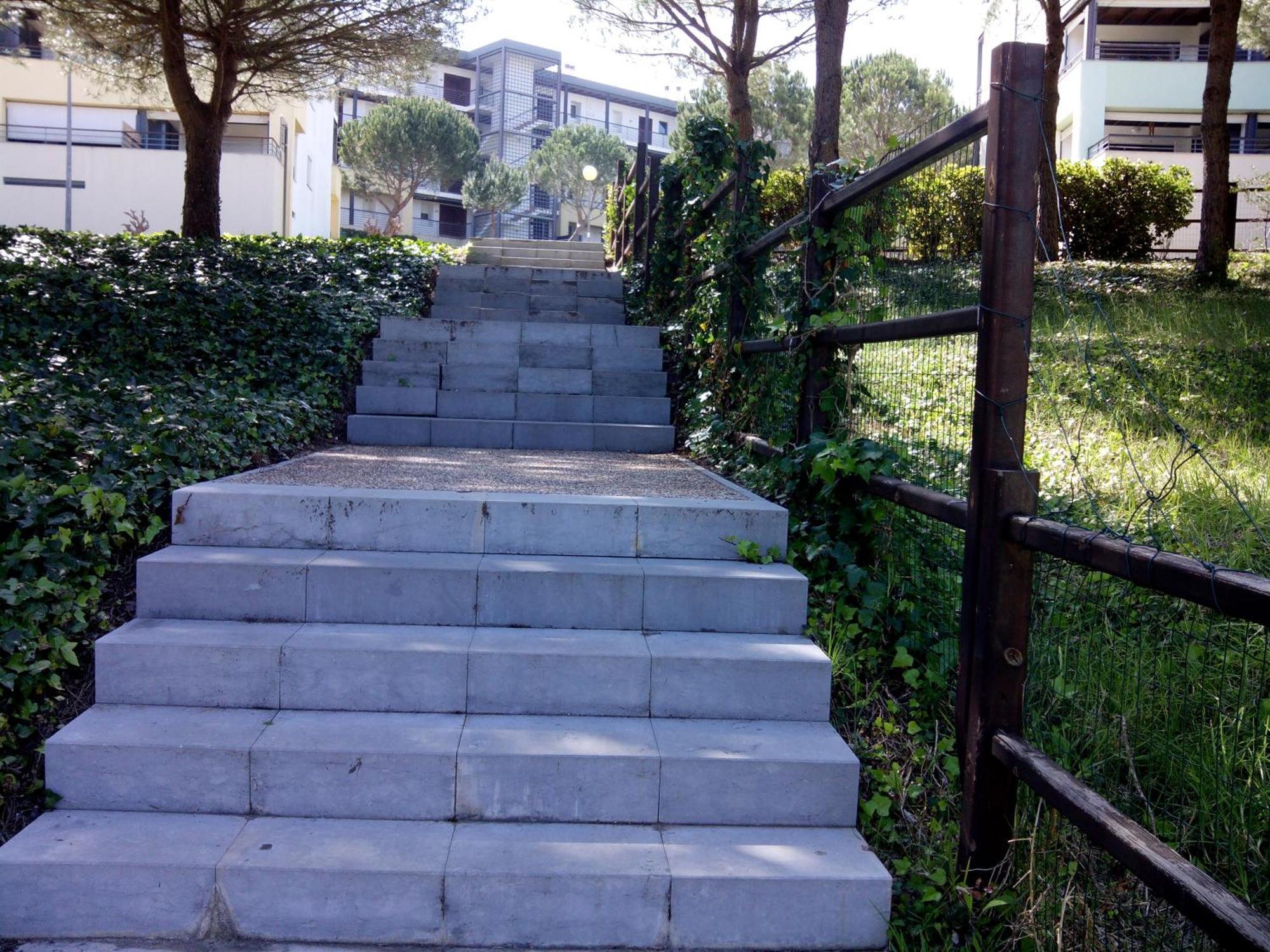 Belleview *