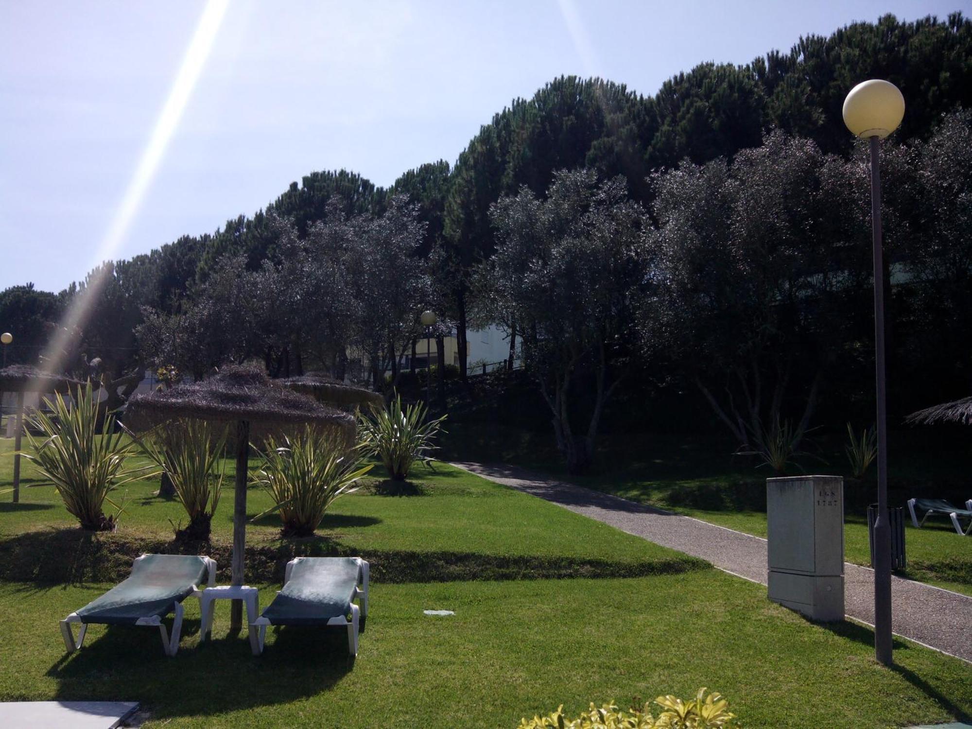 Belleview