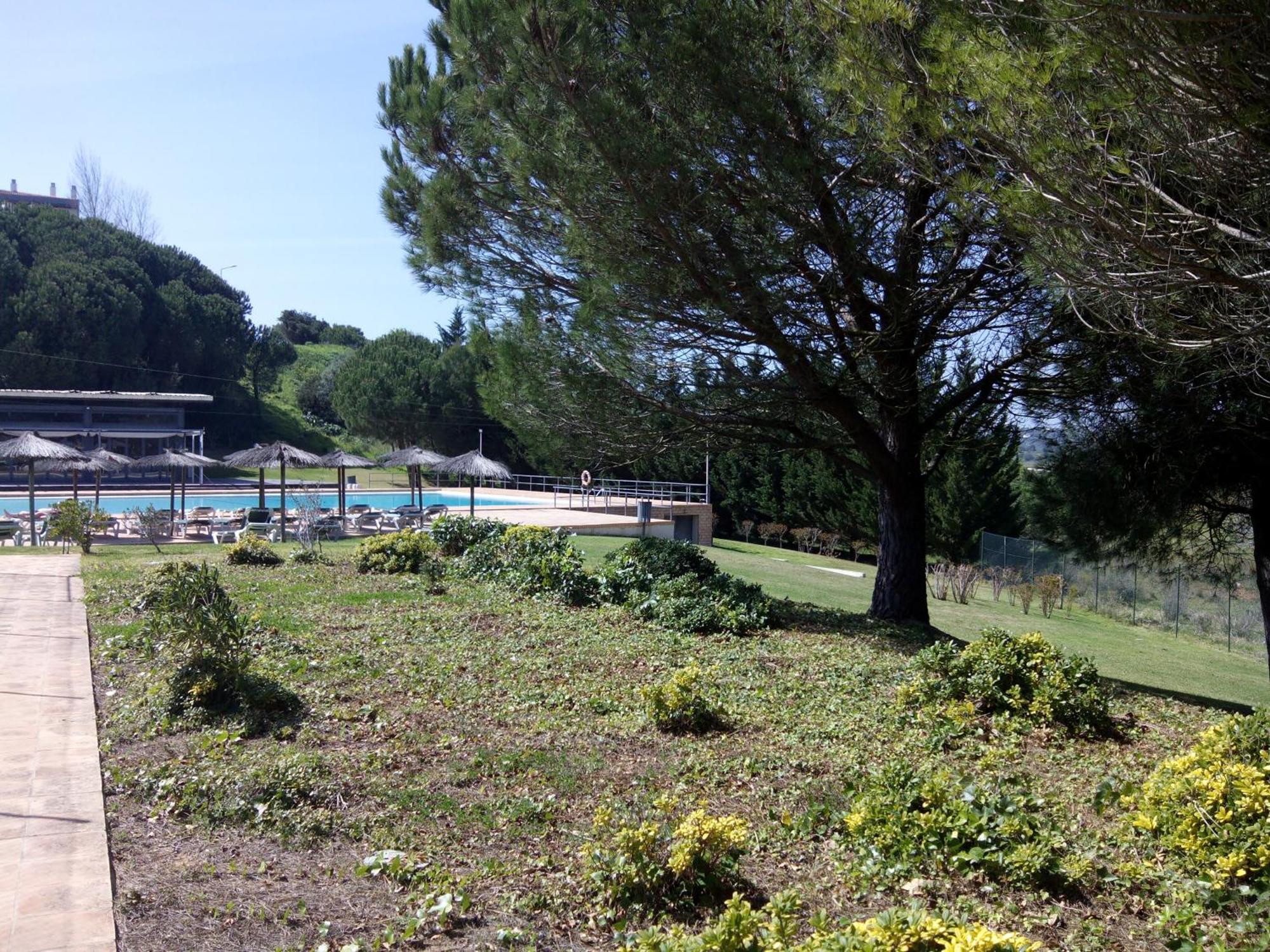 Belleview