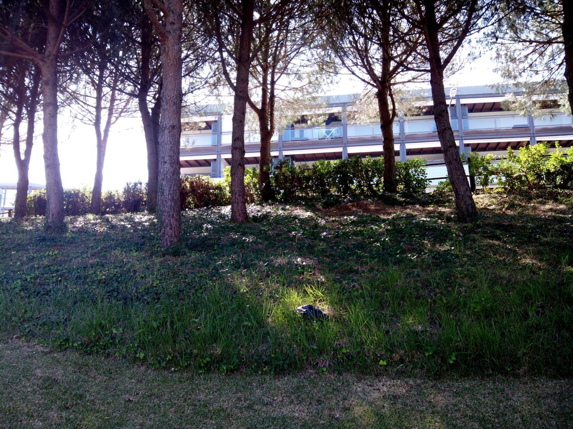 Apartment Belleview *