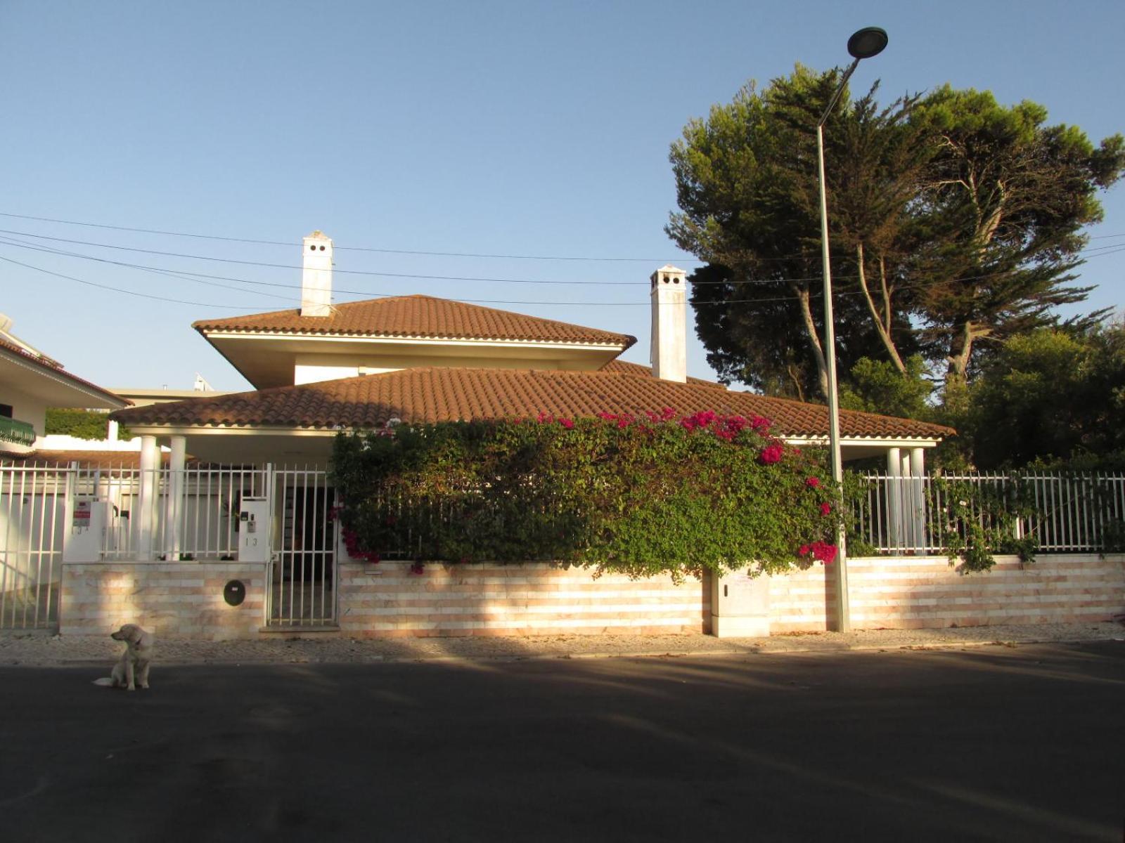 Go Pt - Private Challet With Swimming Pool And Garden Parede