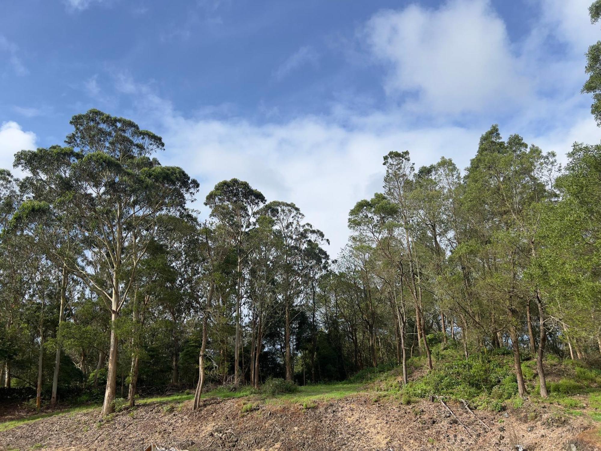 Homestay Quinta Da Vigia
