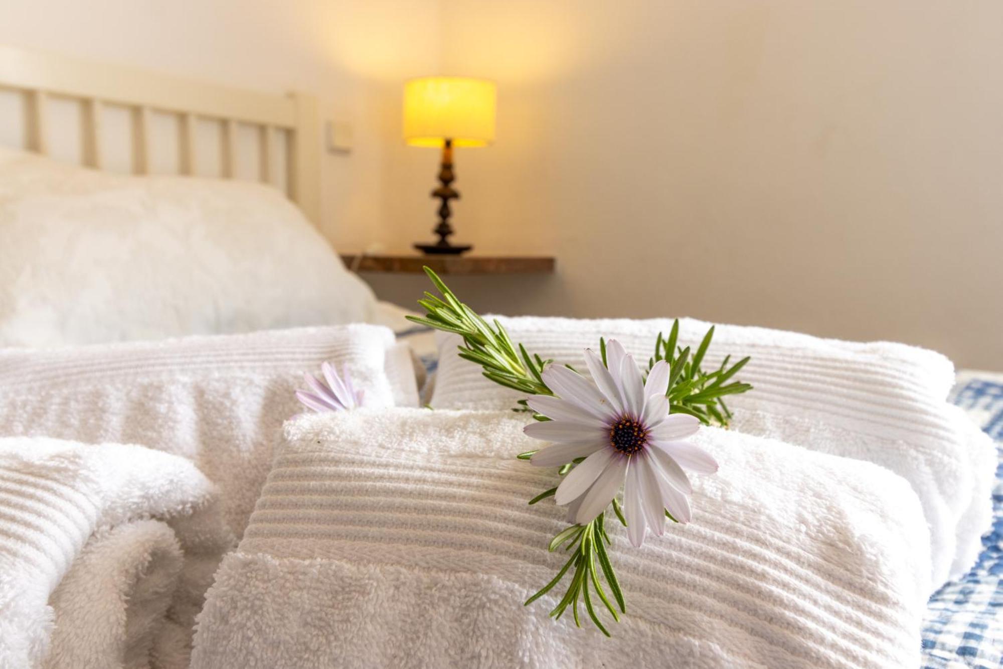 Apartamento Urban Ii