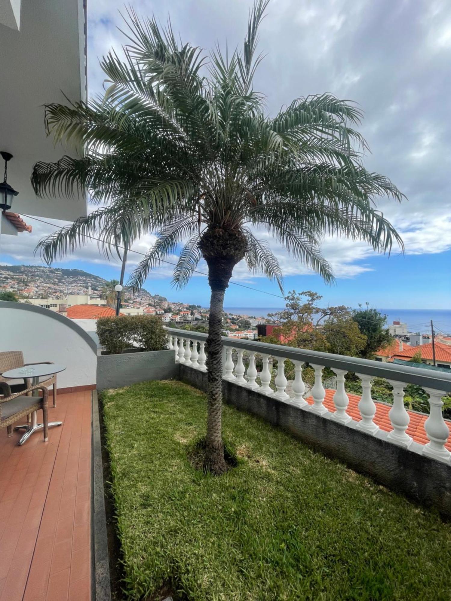 Residencial Pina Casa de hóspedes Funchal (Madeira)