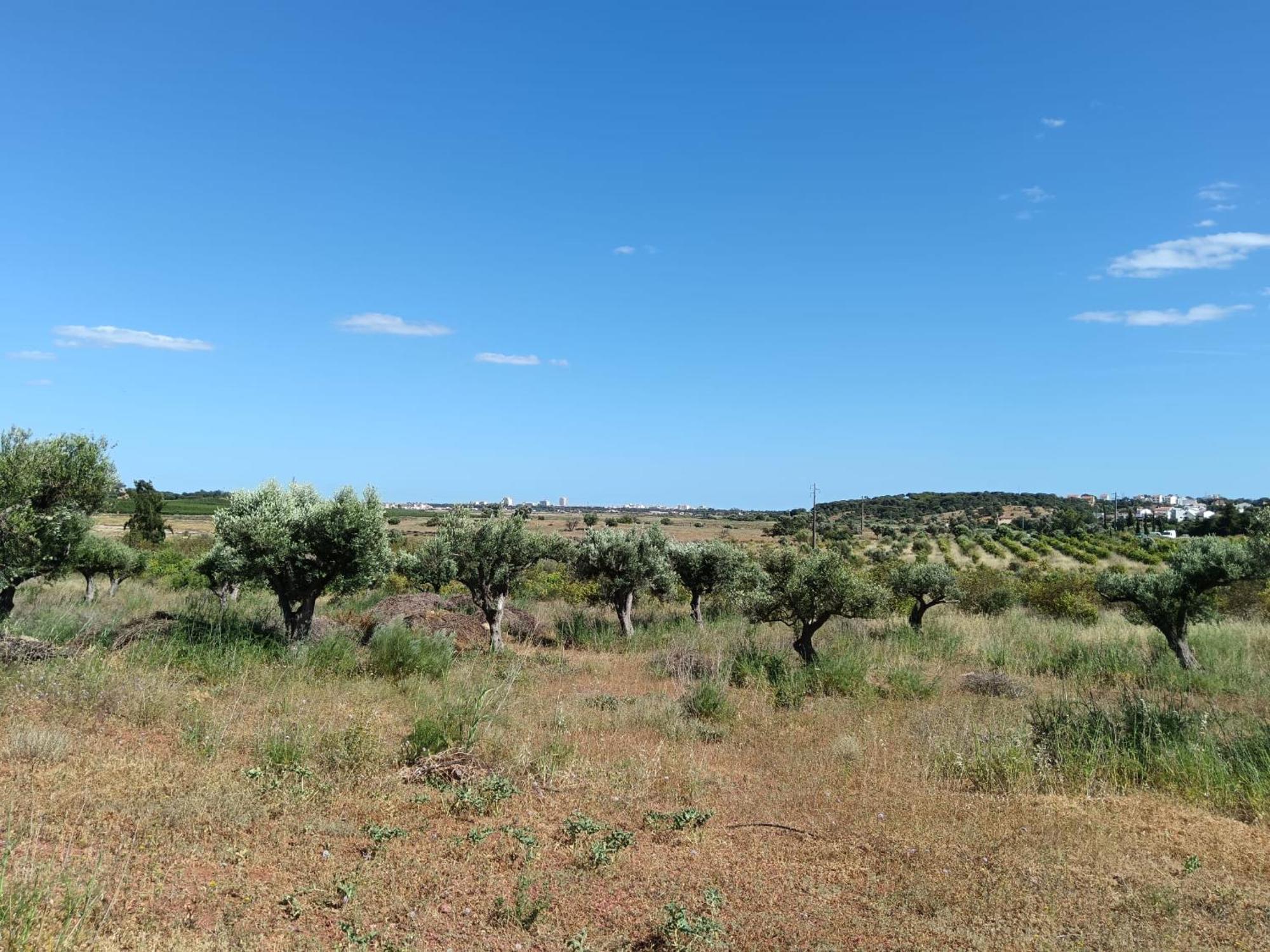 Vakantieboerderij Quinta Da Fornalha - Santuario Agroecologico Castro Marim
